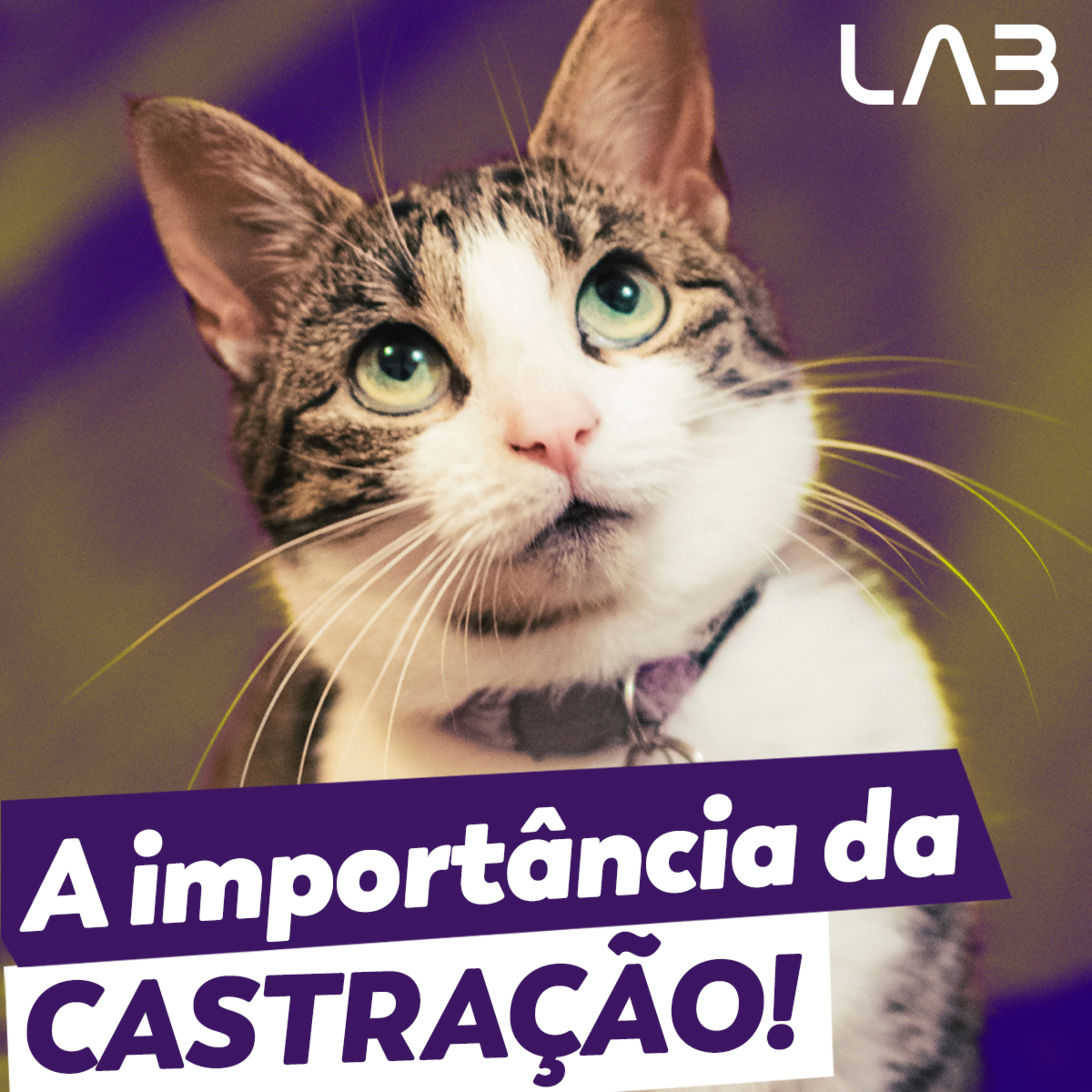 LabCast - O Podcast da Labgard!