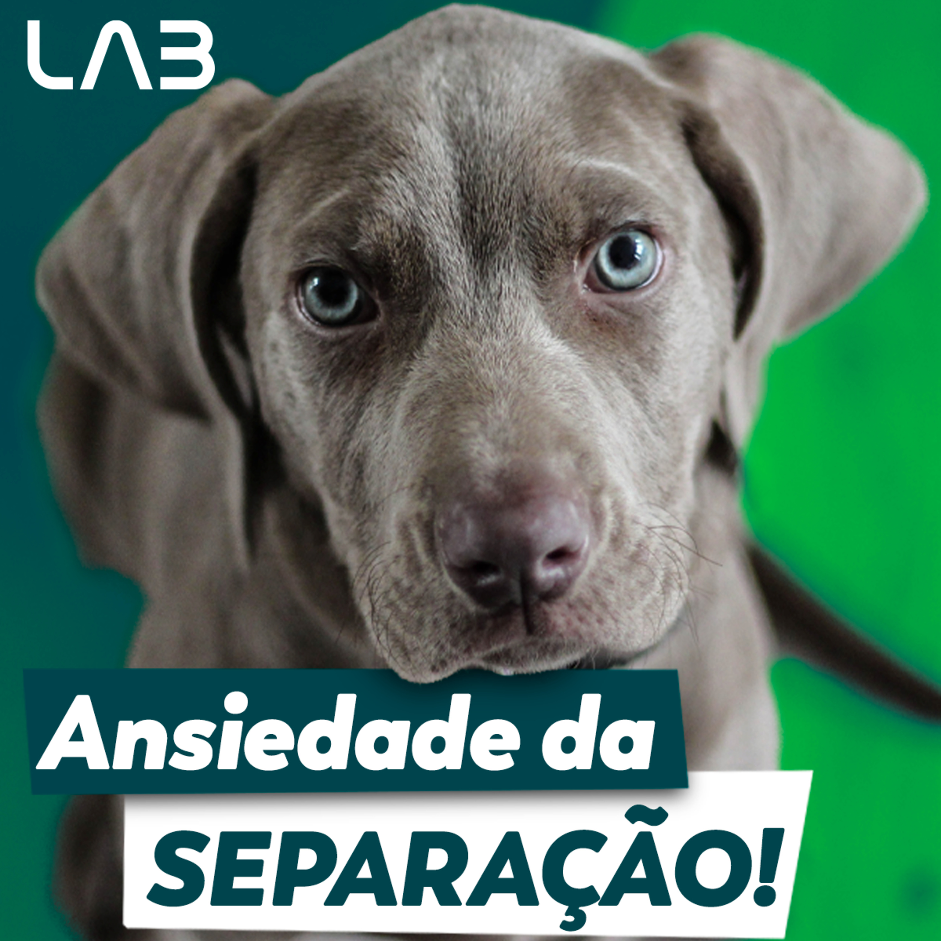 LabCast - O Podcast da Labgard!