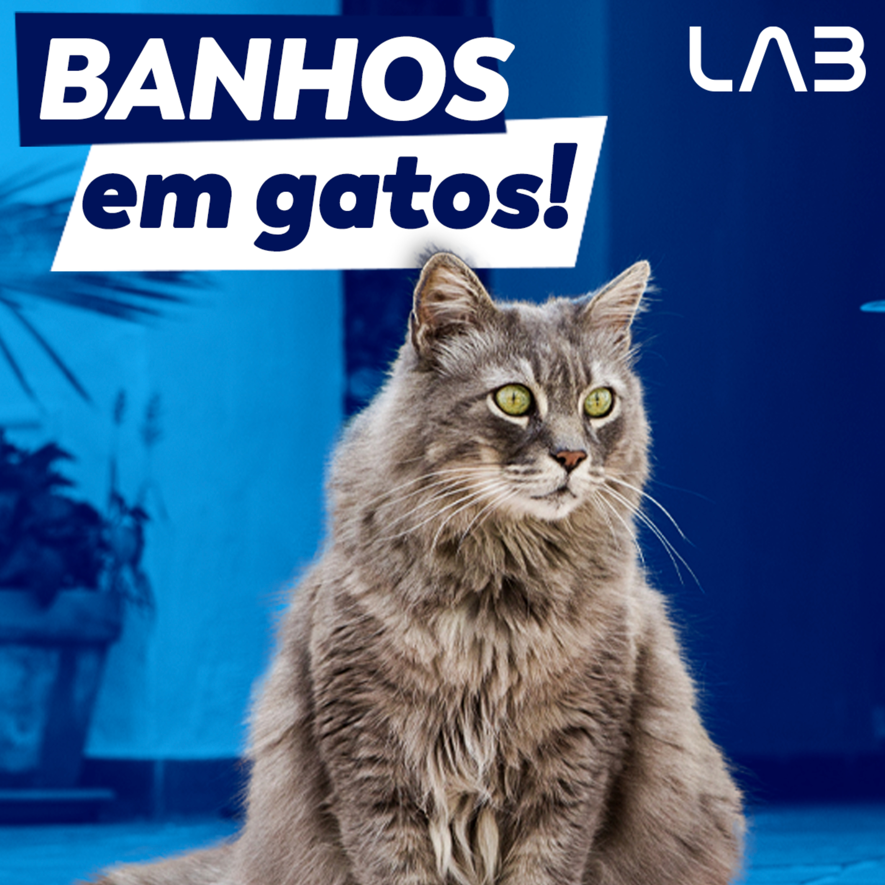 LabCast - O Podcast da Labgard!
