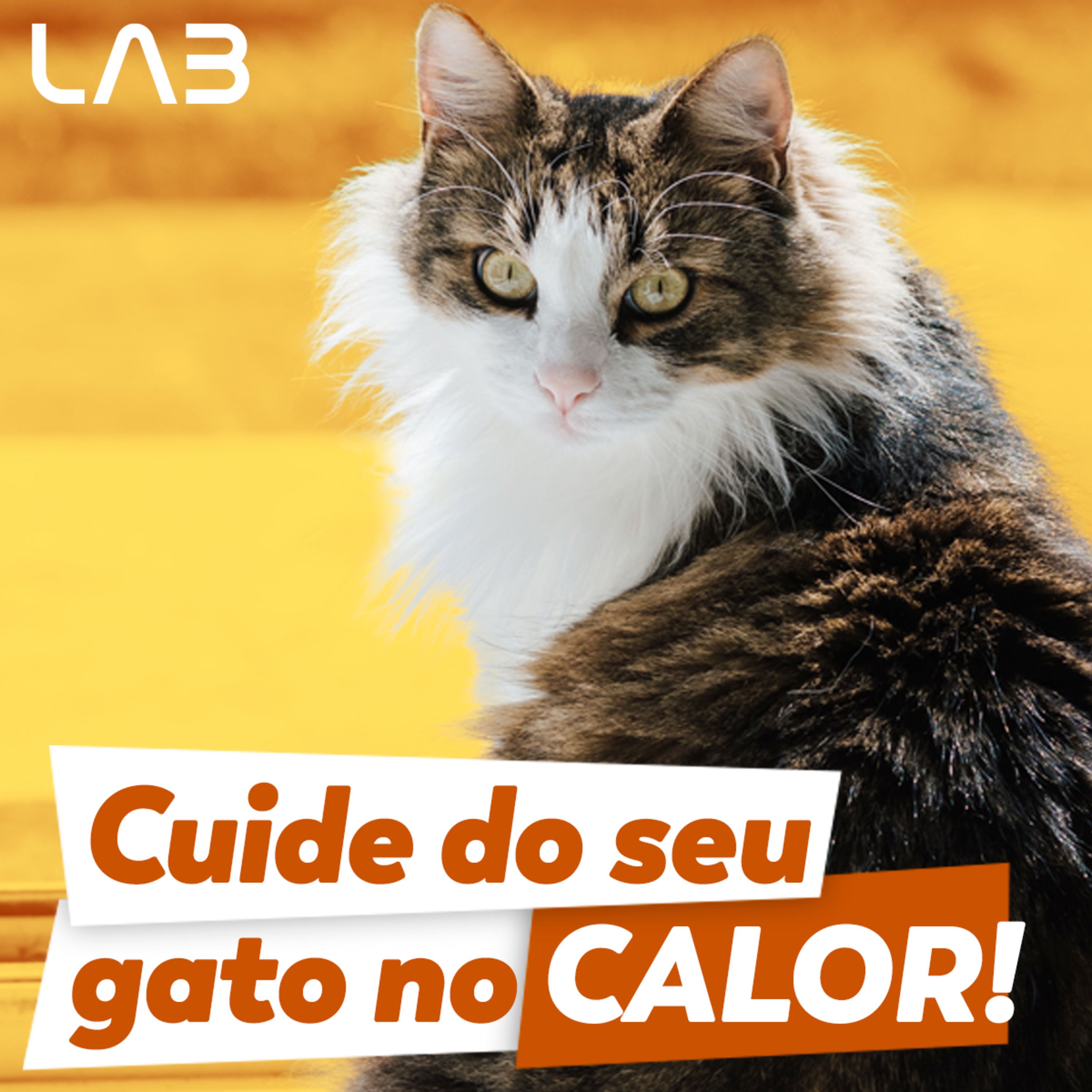 LabCast - O Podcast da Labgard!
