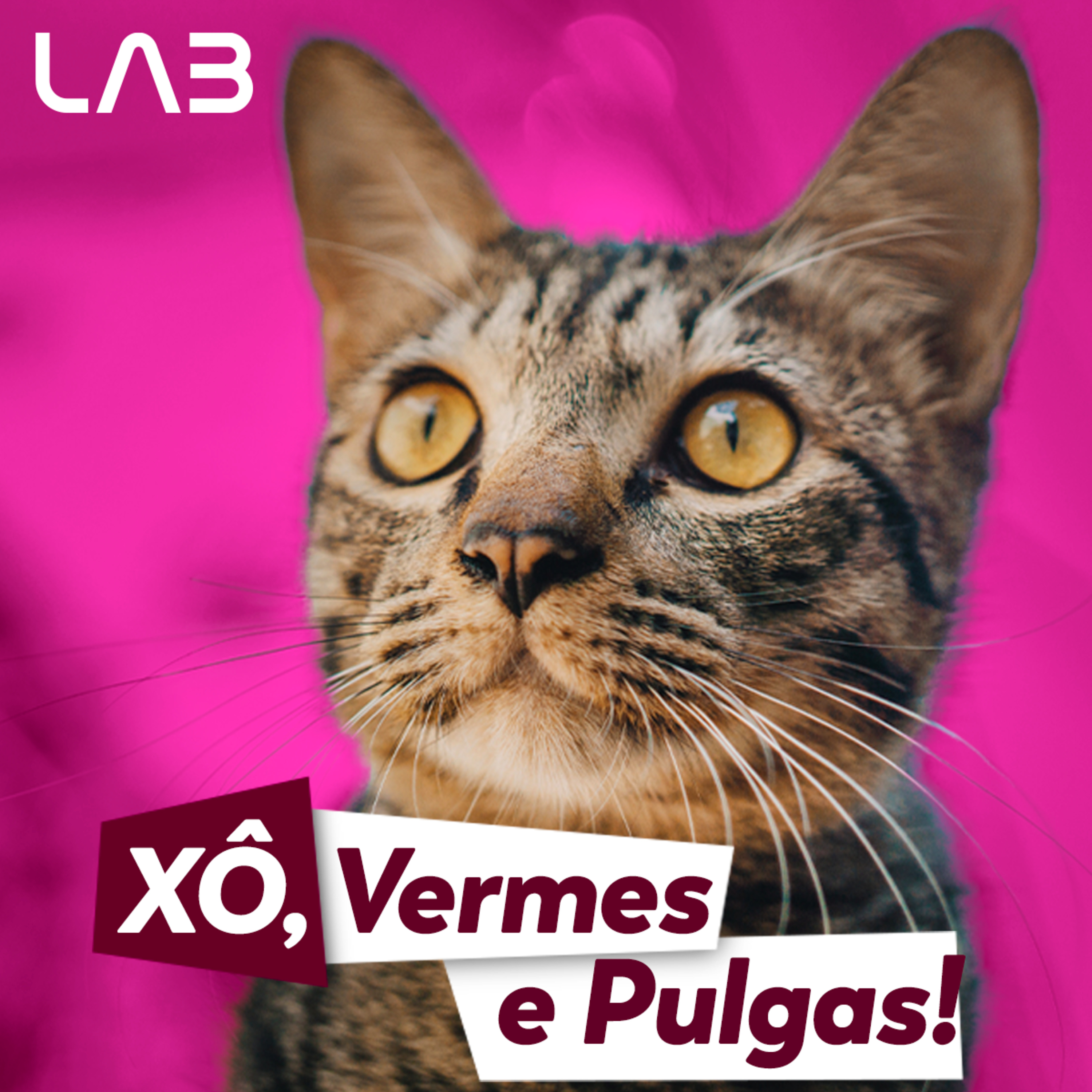 LabCast - O Podcast da Labgard!