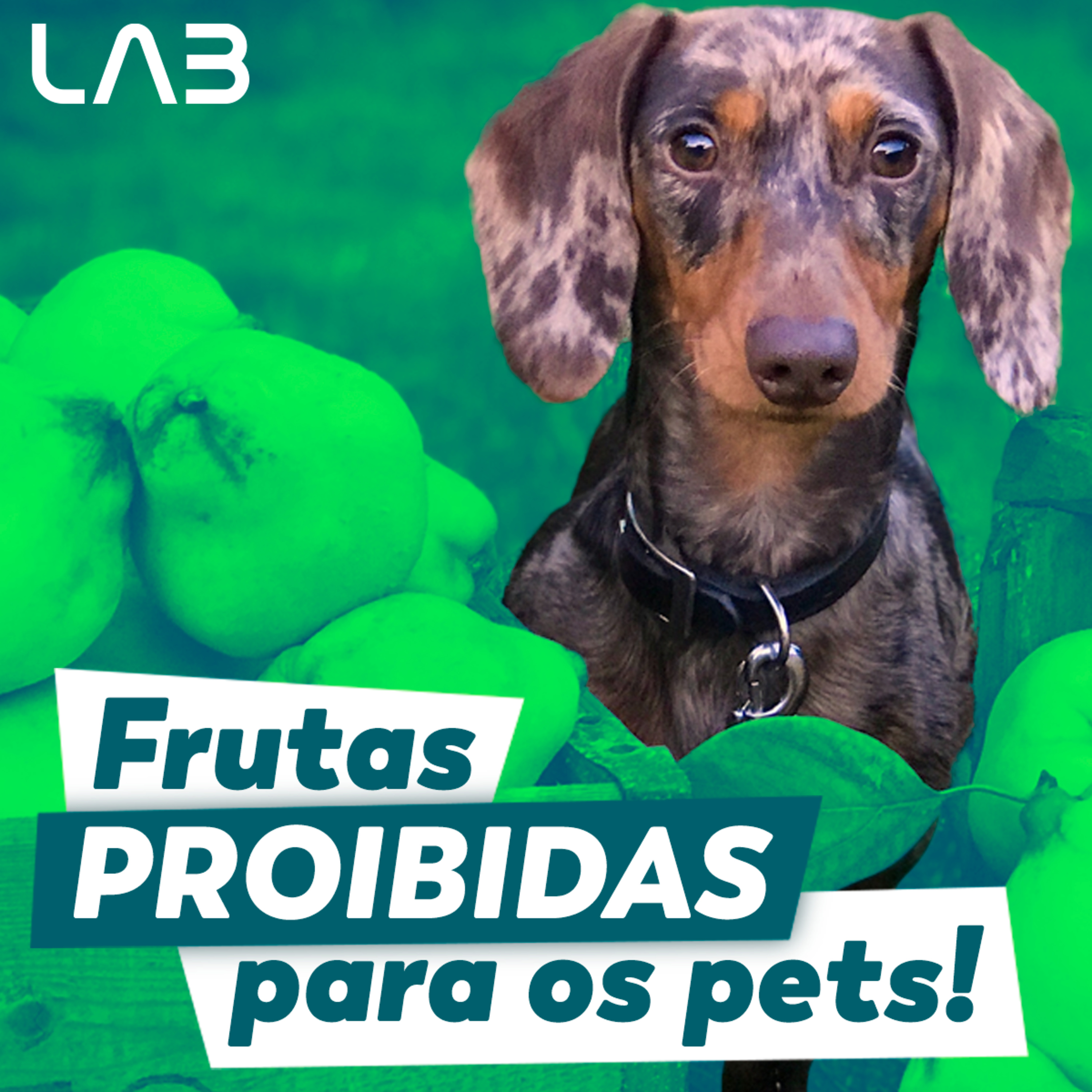 LabCast - O Podcast da Labgard!