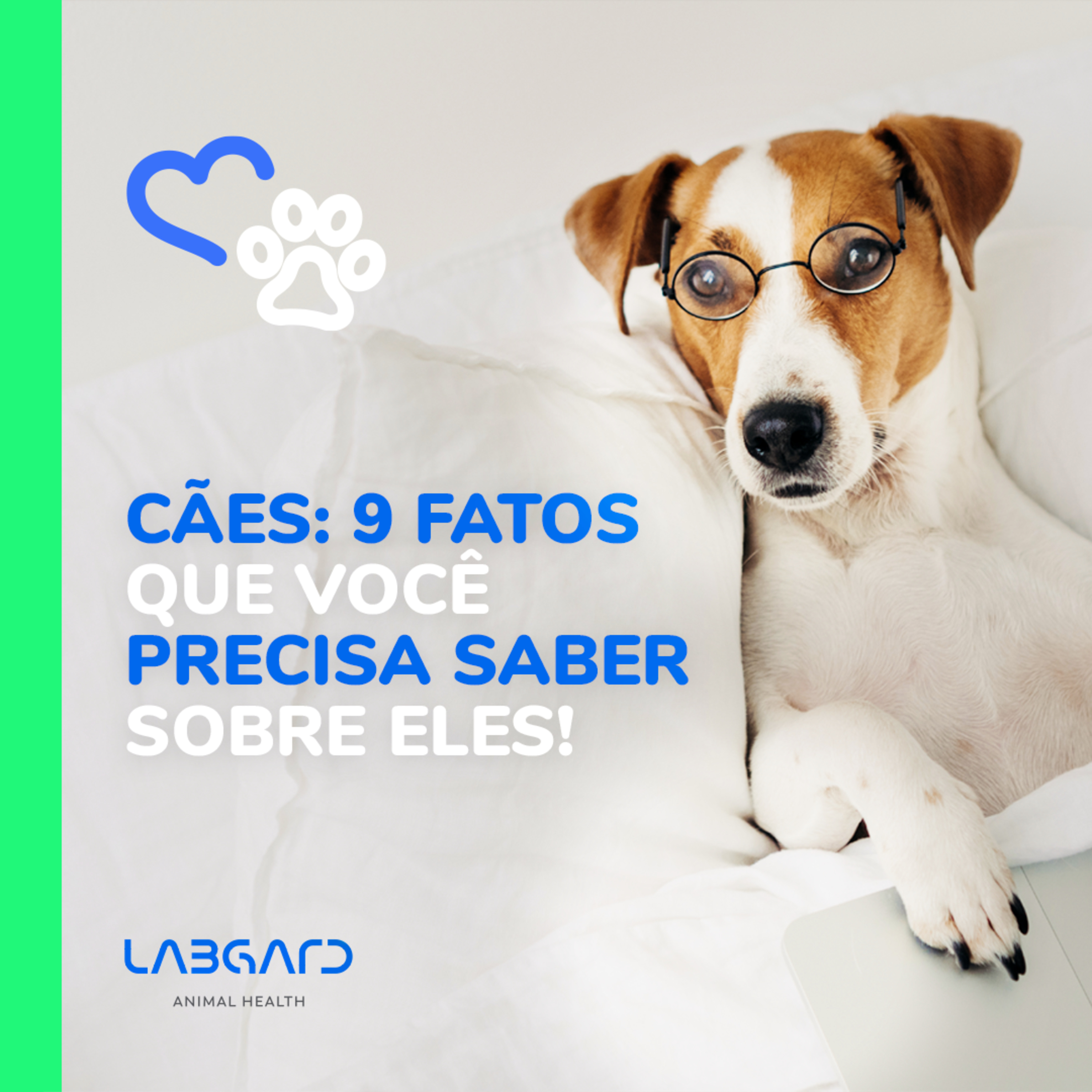 LabCast - O Podcast da Labgard!