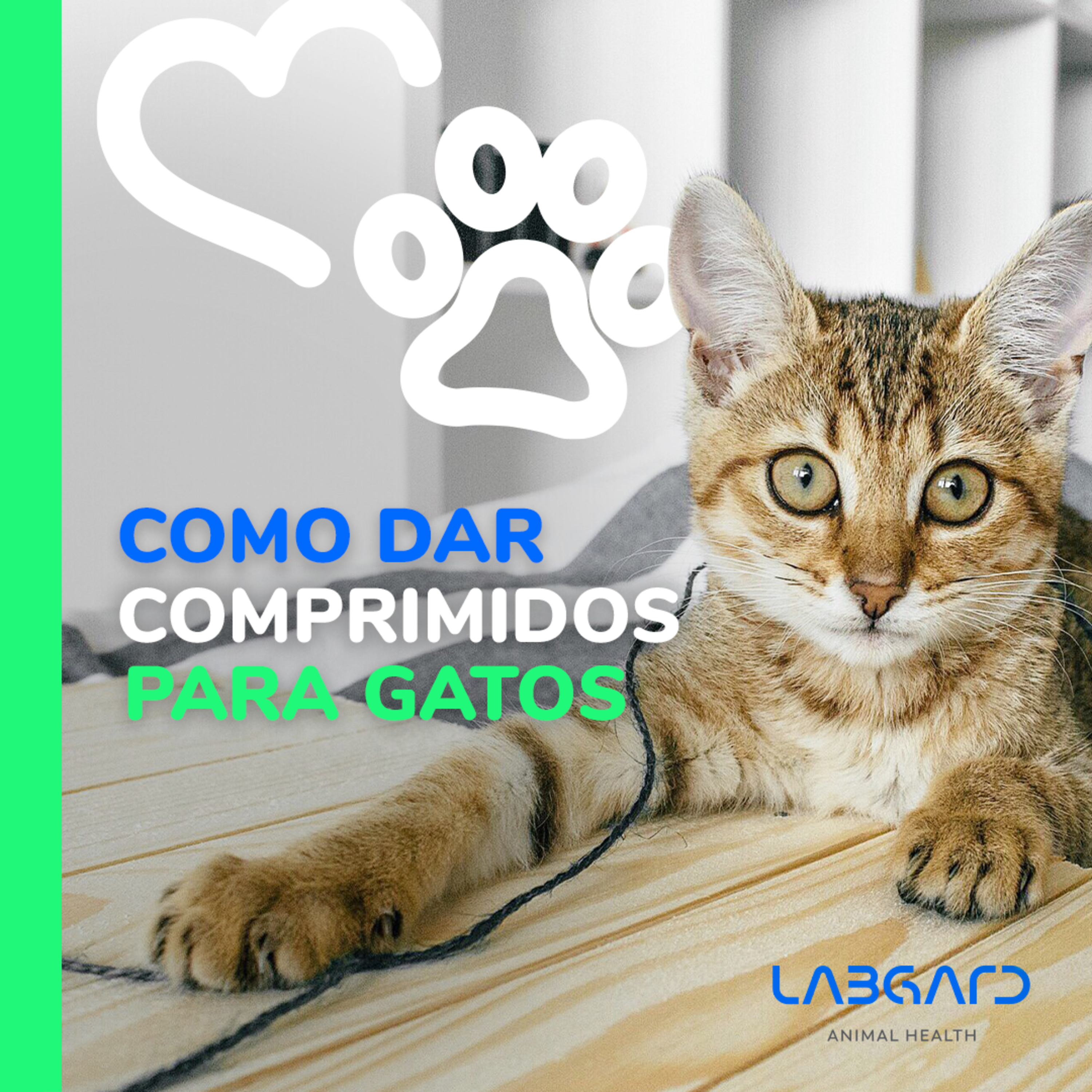 LabCast - O Podcast da Labgard!