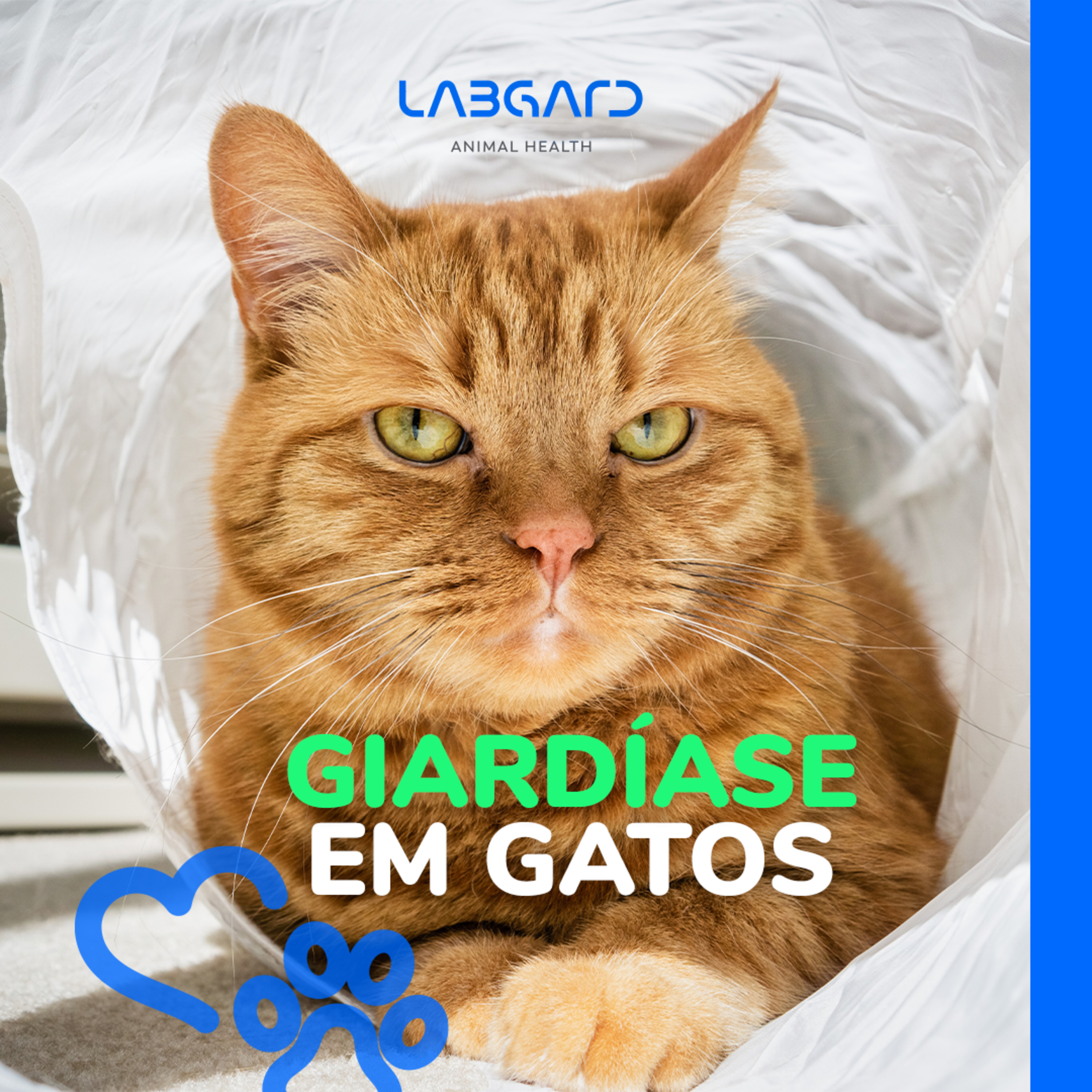 LabCast - O Podcast da Labgard!