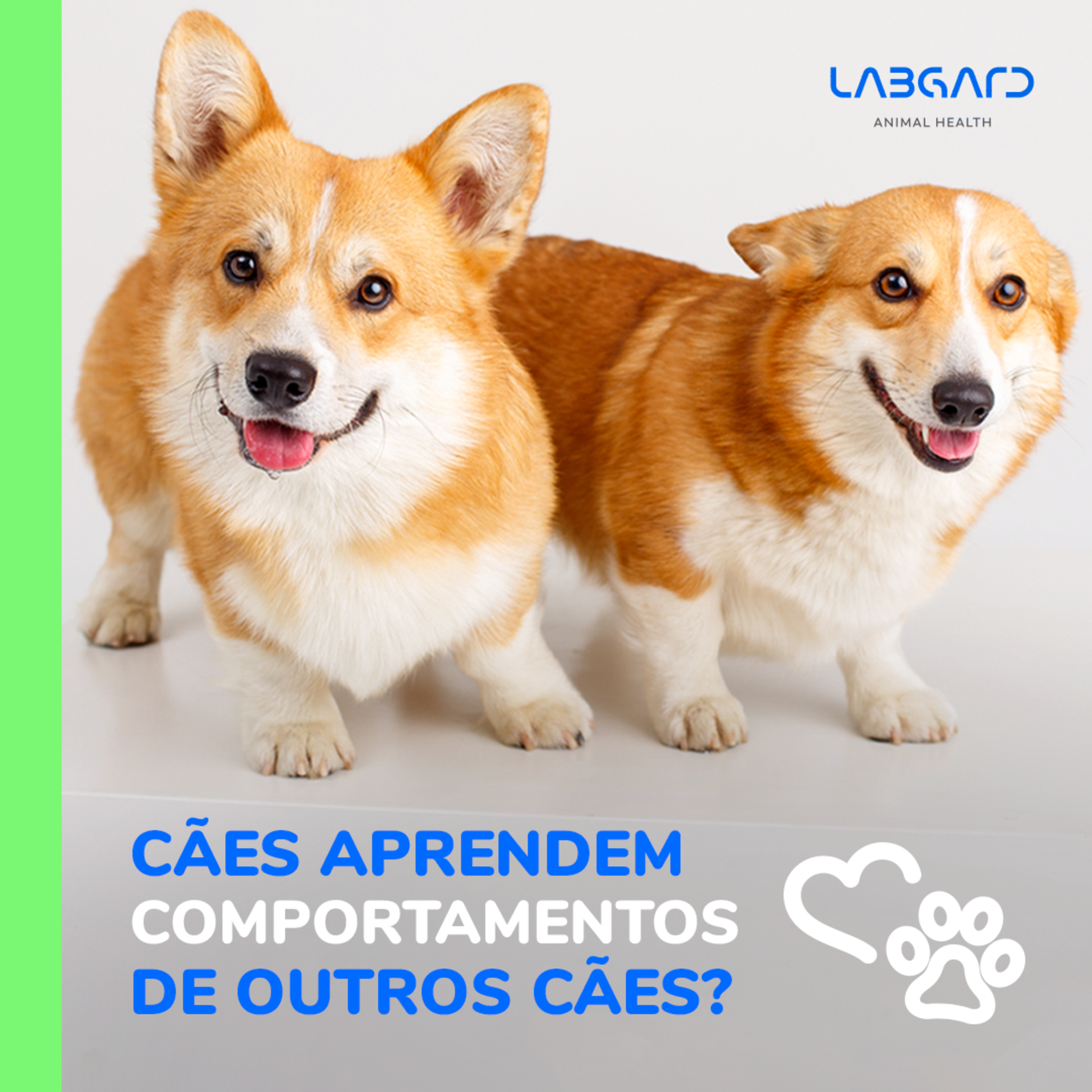 LabCast - O Podcast da Labgard!
