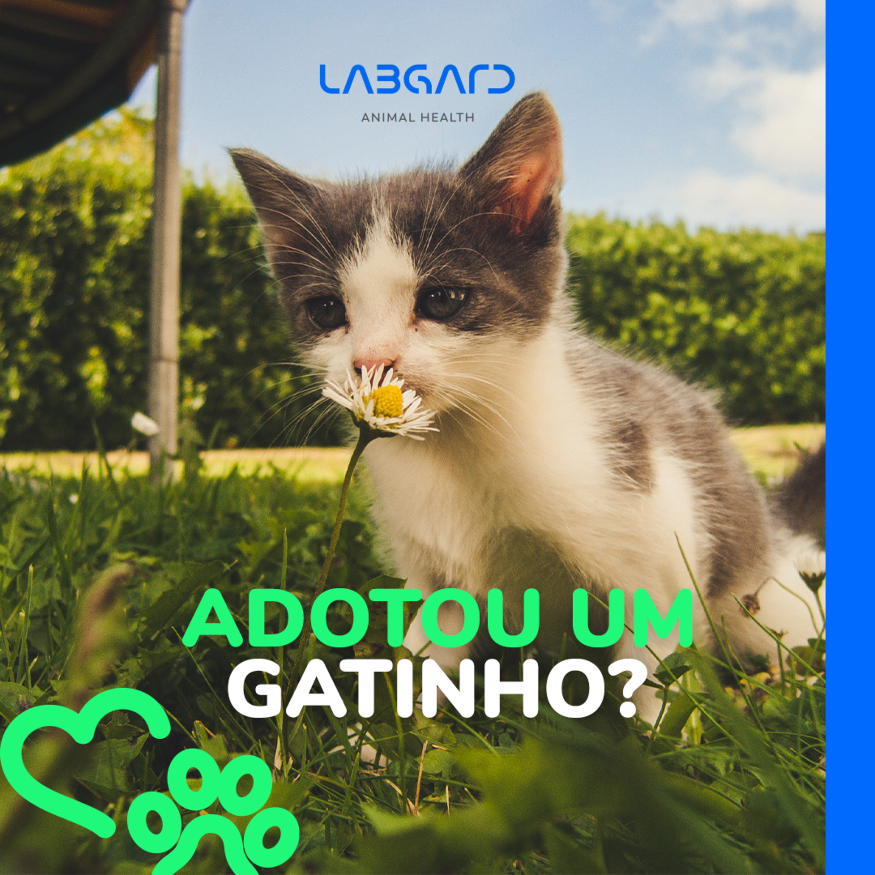 LabCast - O Podcast da Labgard!