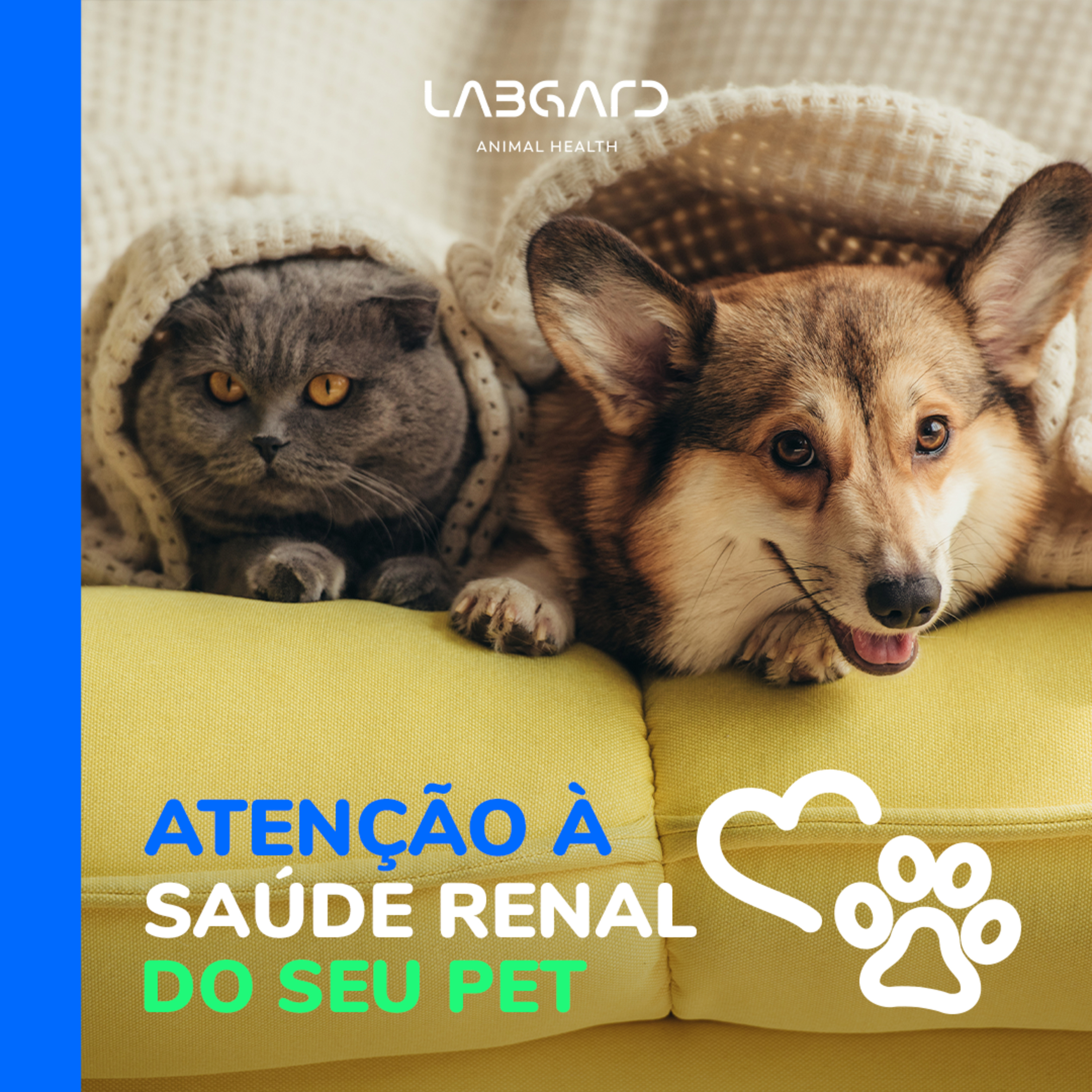 LabCast - O Podcast da Labgard!