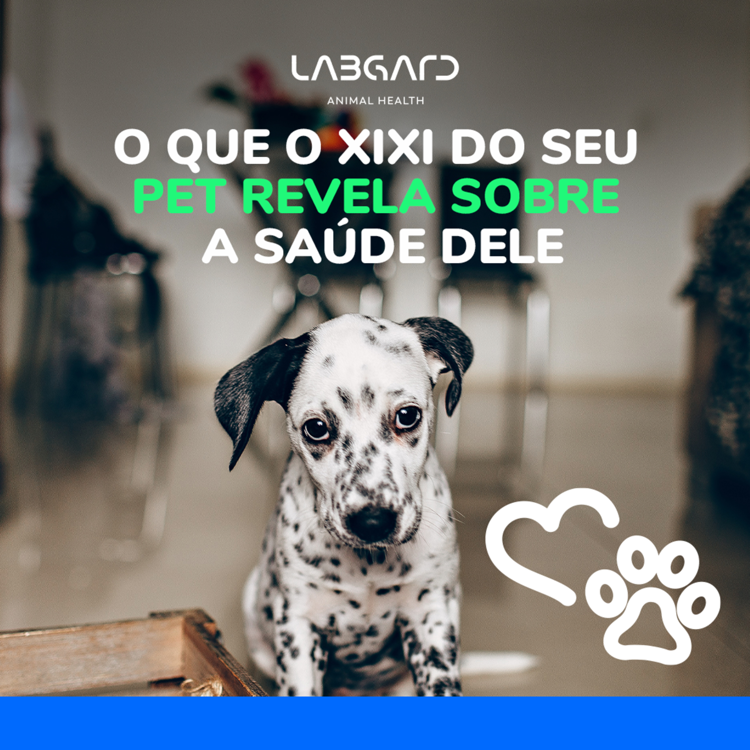LabCast - O Podcast da Labgard!