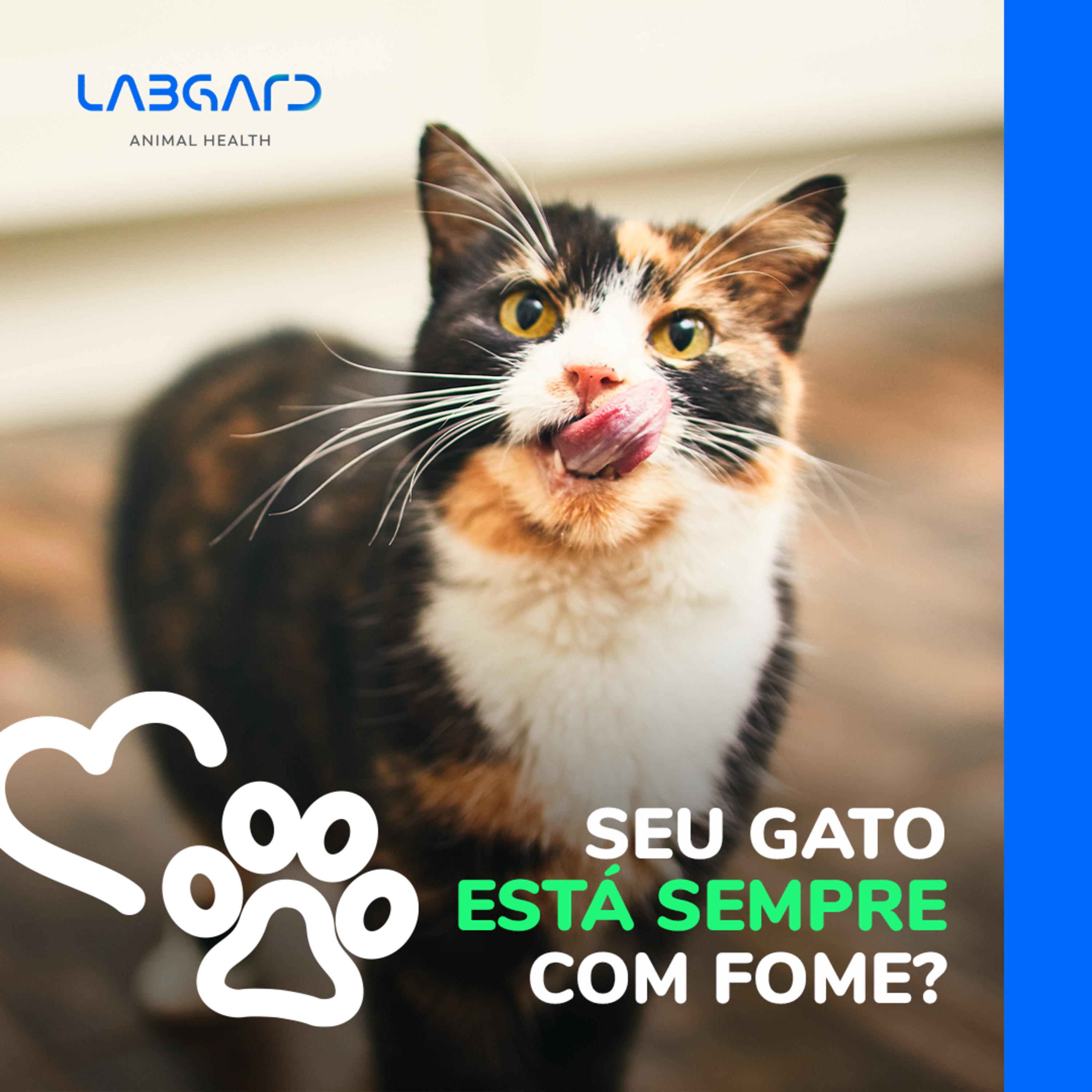LabCast - O Podcast da Labgard!