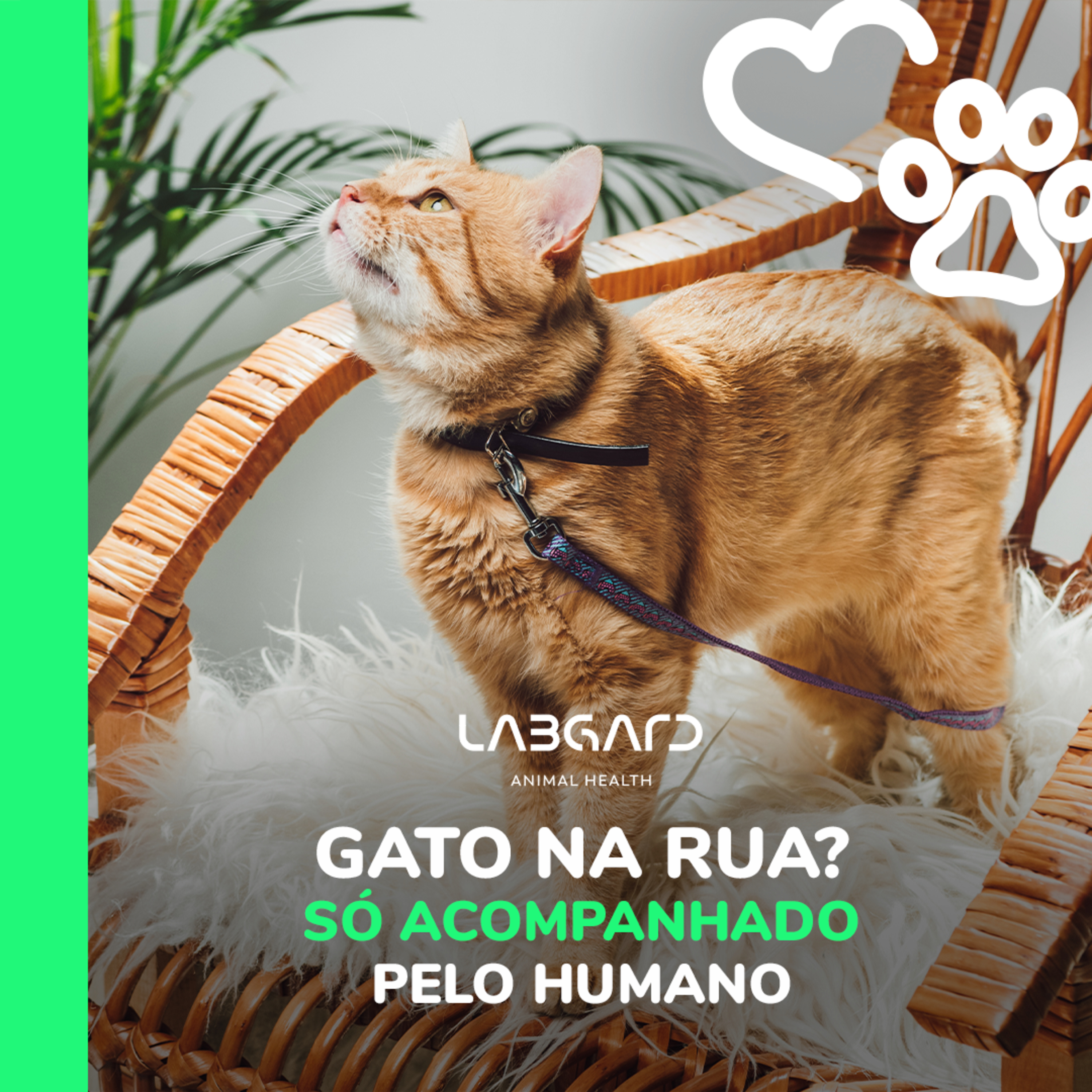 LabCast - O Podcast da Labgard!