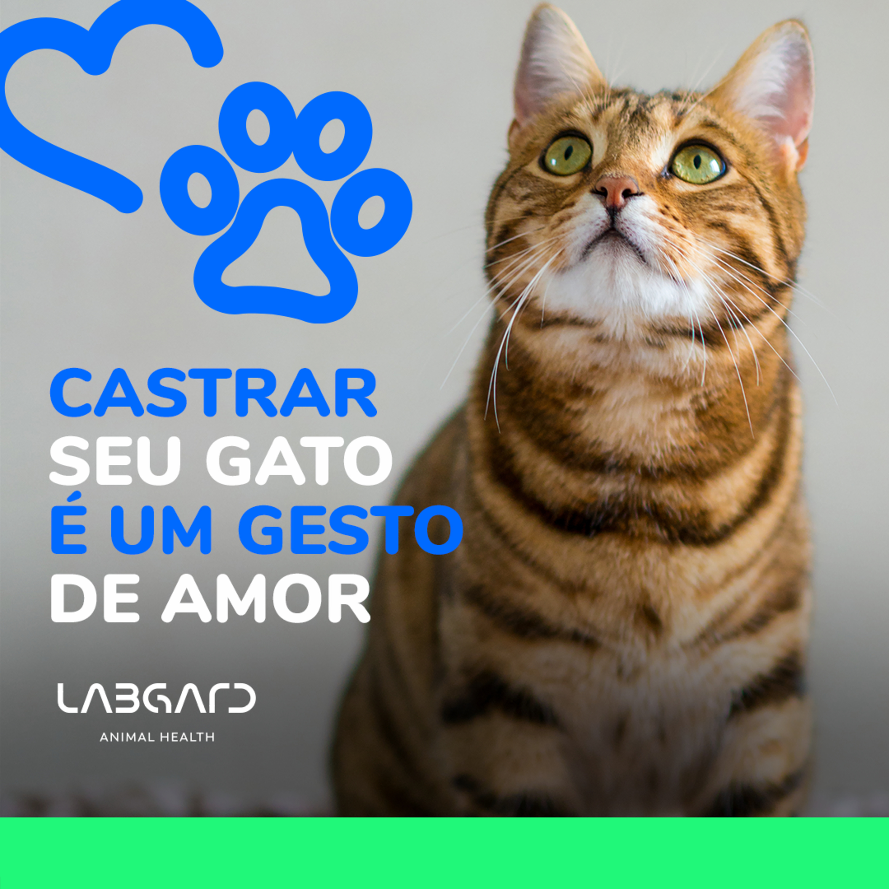 LabCast - O Podcast da Labgard!