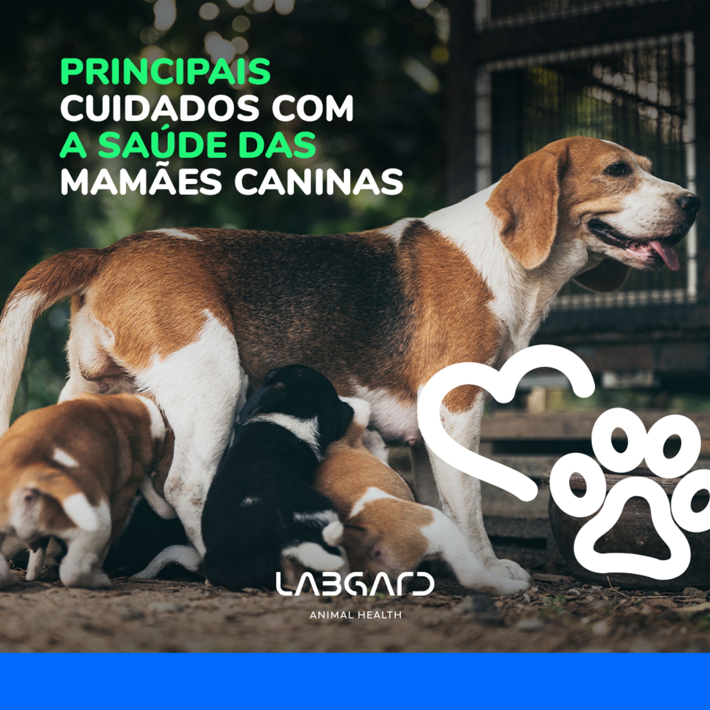 LabCast - O Podcast da Labgard!