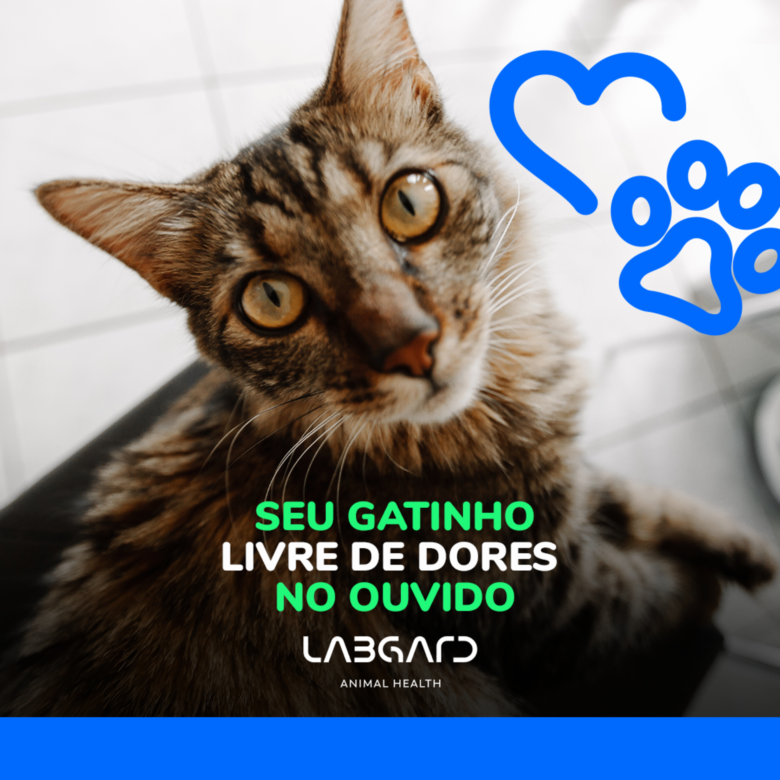 LabCast - O Podcast da Labgard!