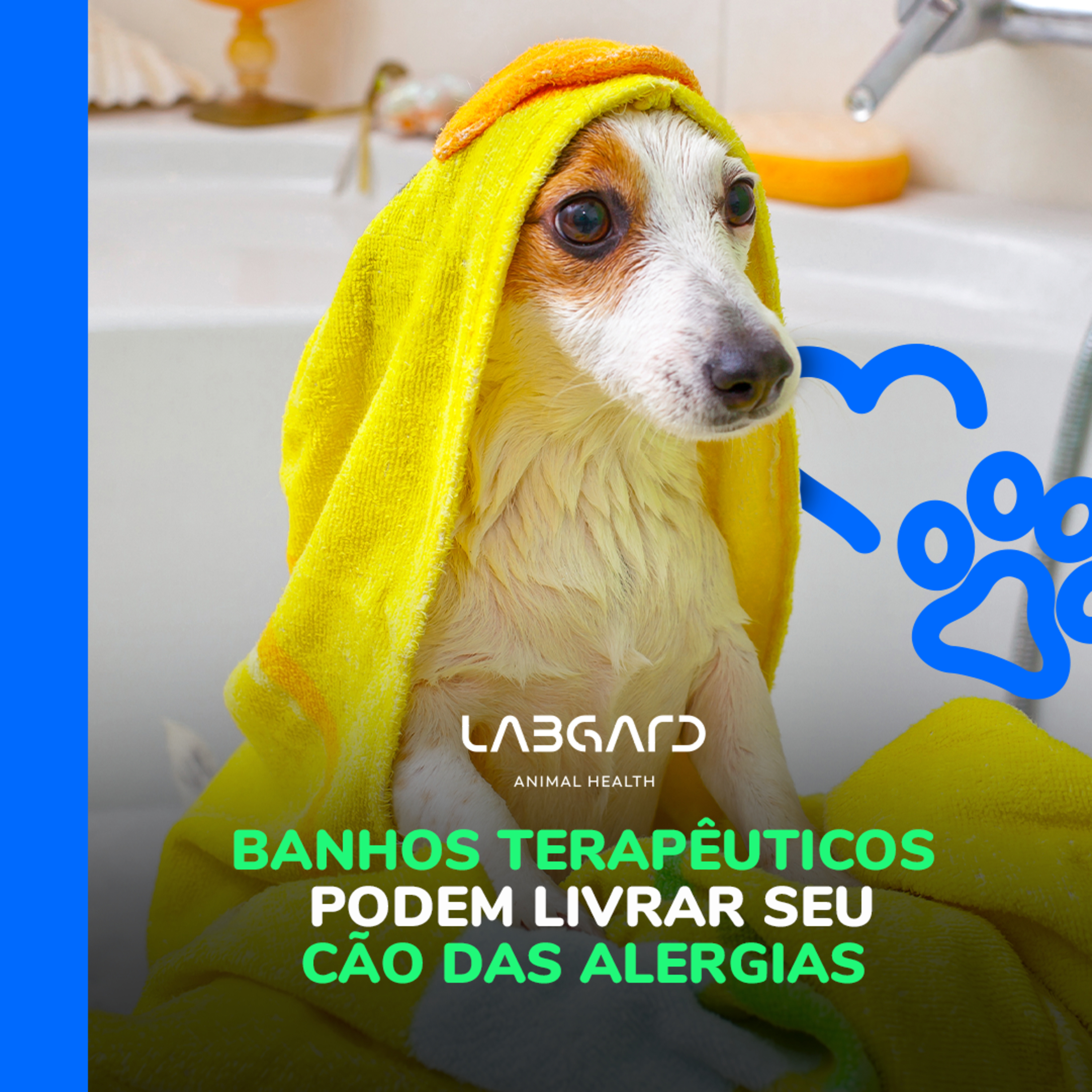LabCast - O Podcast da Labgard!