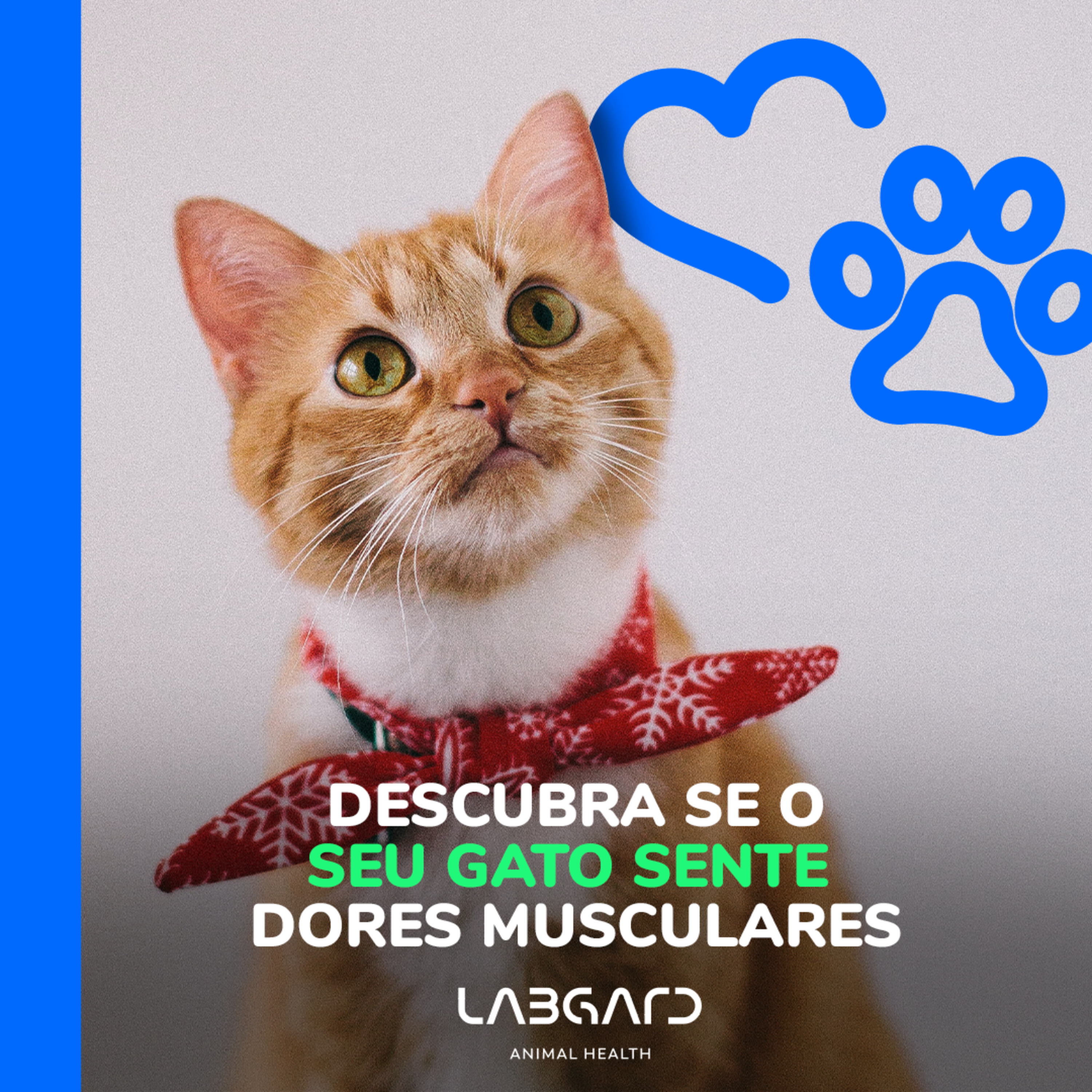 LabCast - O Podcast da Labgard!