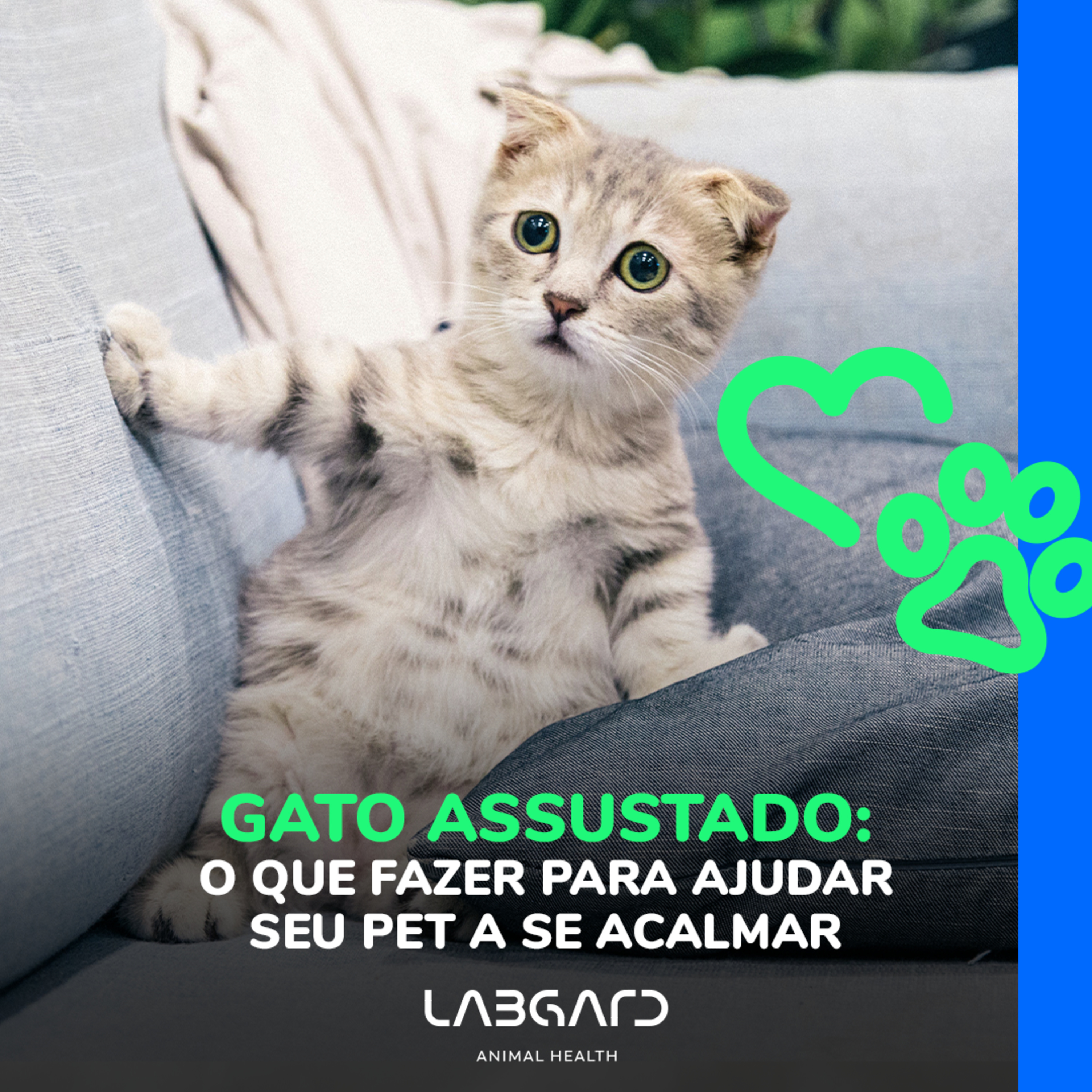 LabCast - O Podcast da Labgard!