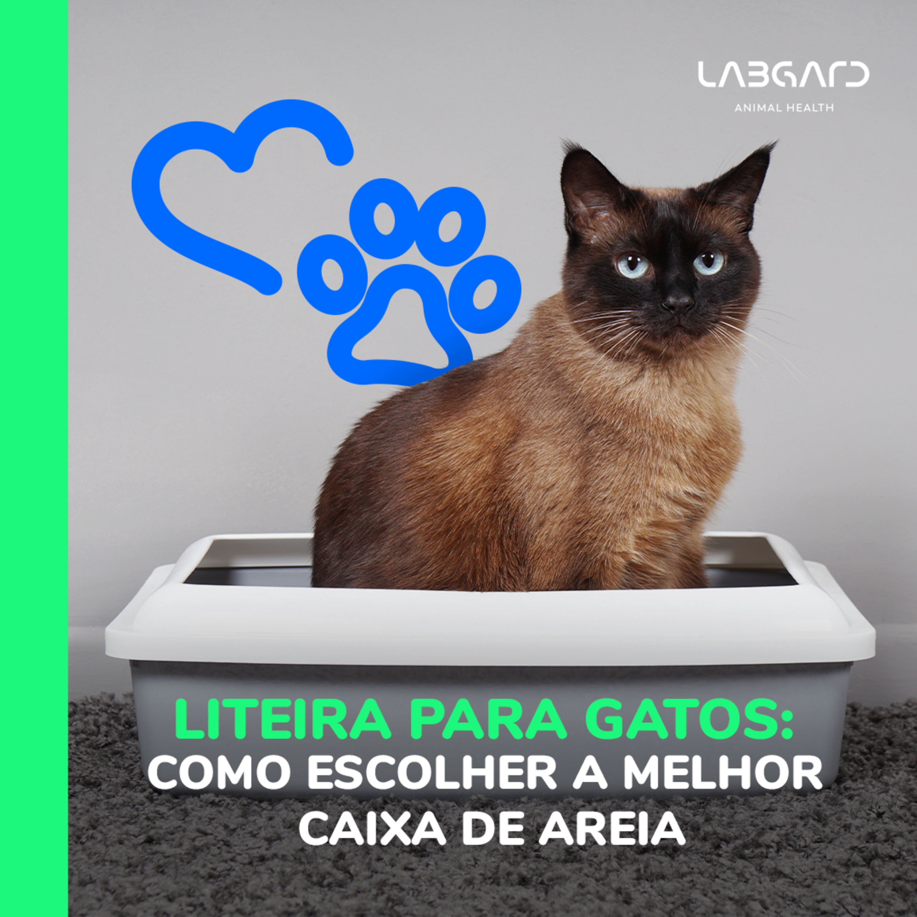 LabCast - O Podcast da Labgard!