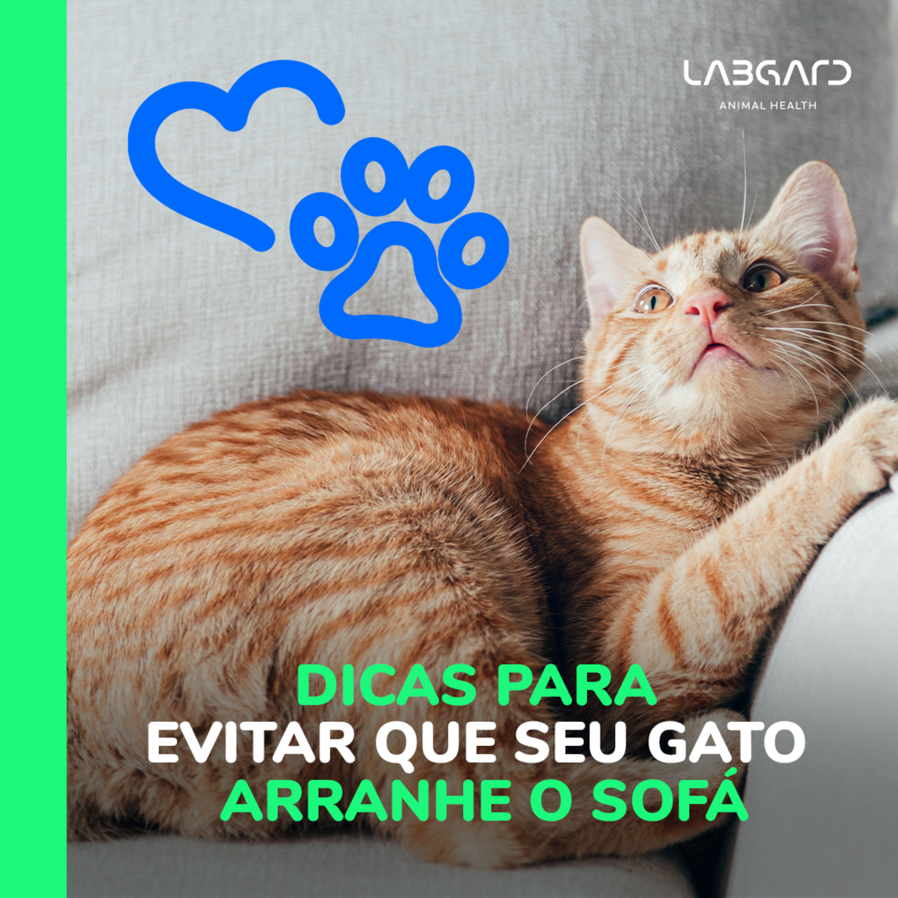 LabCast - O Podcast da Labgard!