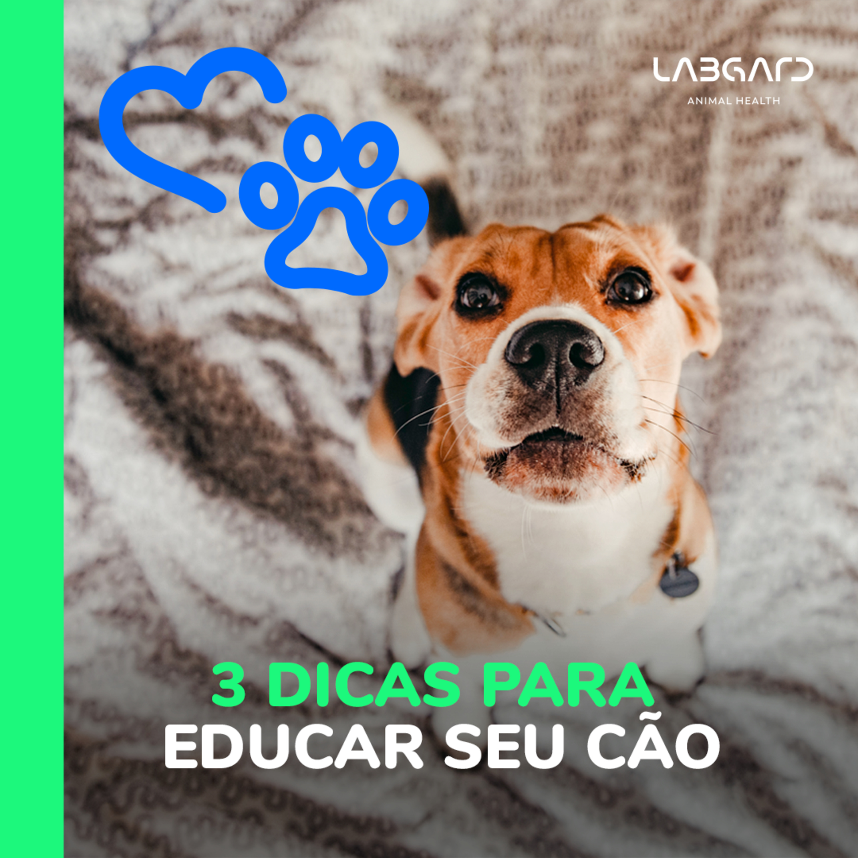 LabCast - O Podcast da Labgard!