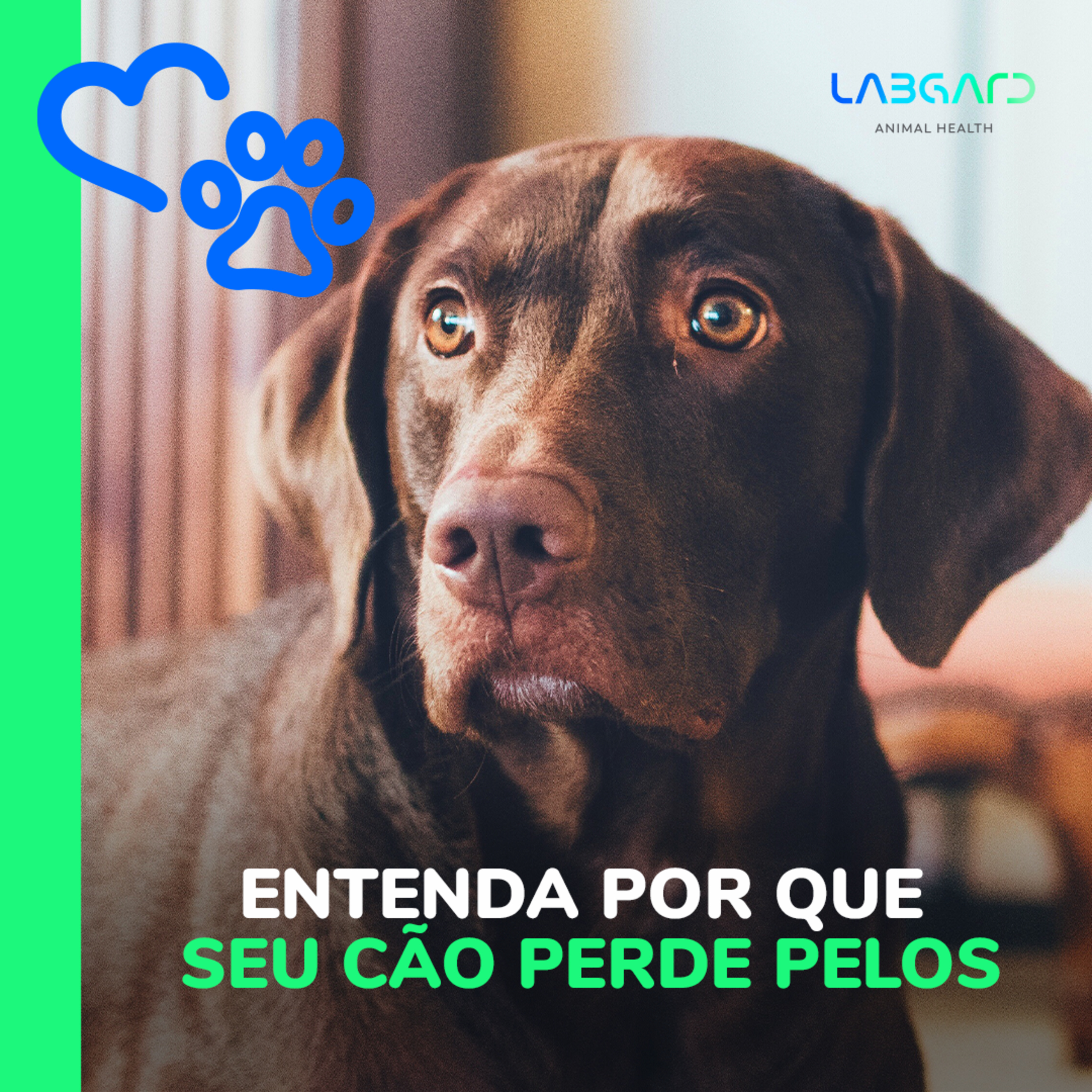 LabCast - O Podcast da Labgard!