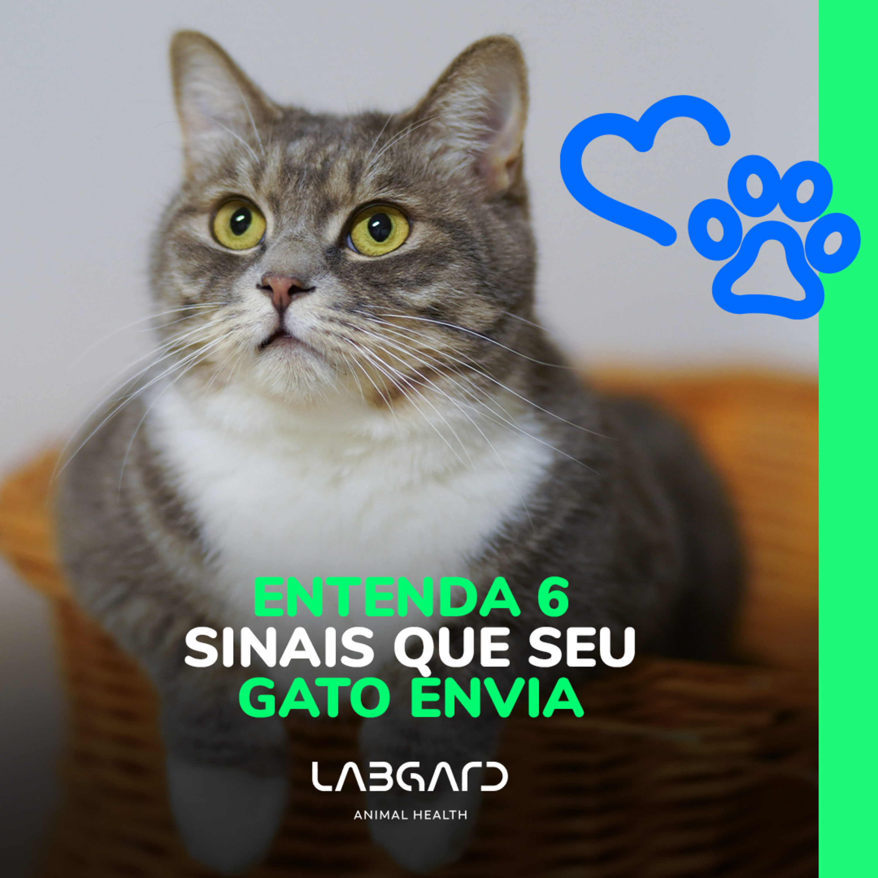LabCast - O Podcast da Labgard!