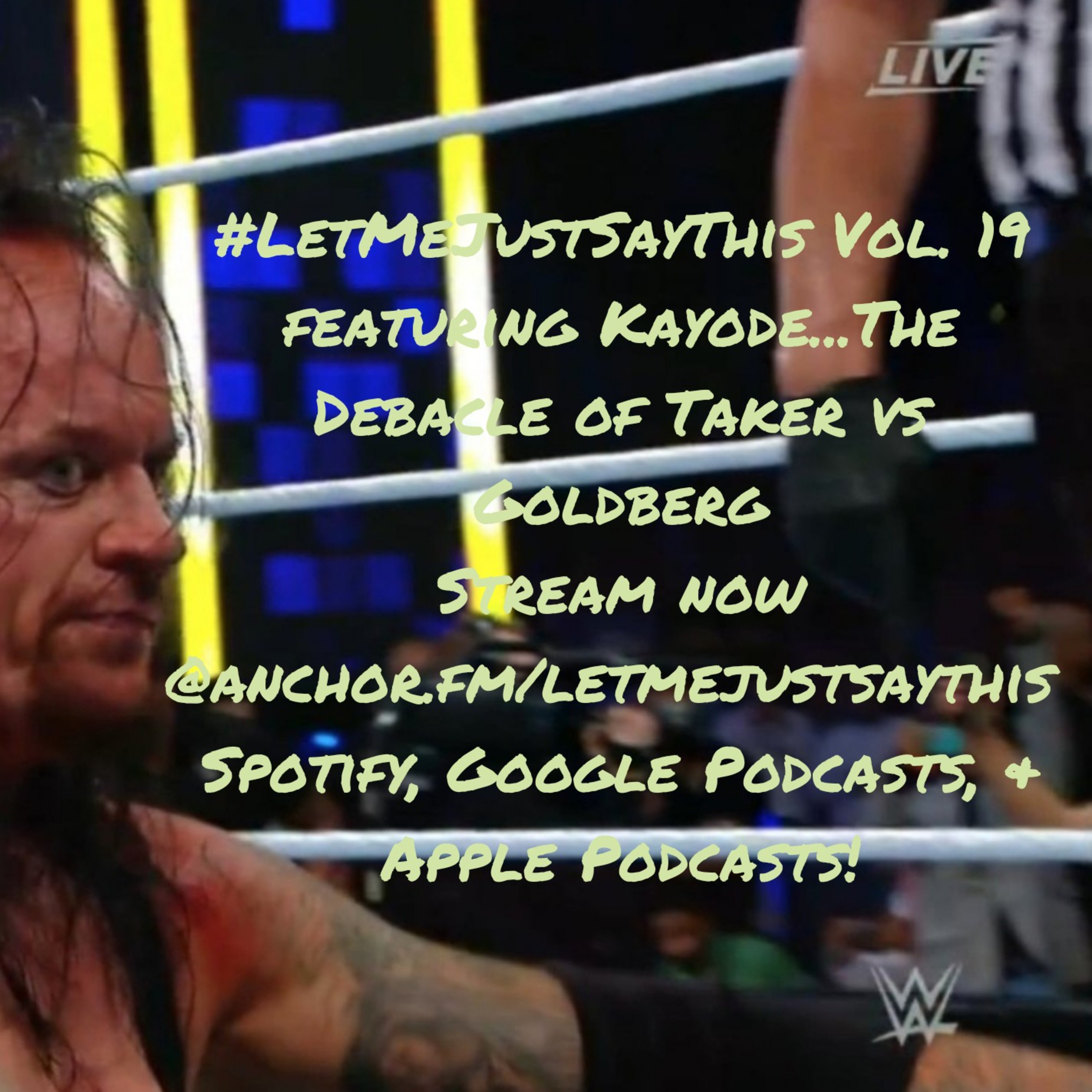 Vol. 19...The Debacle of Undertaker vs Goldberg