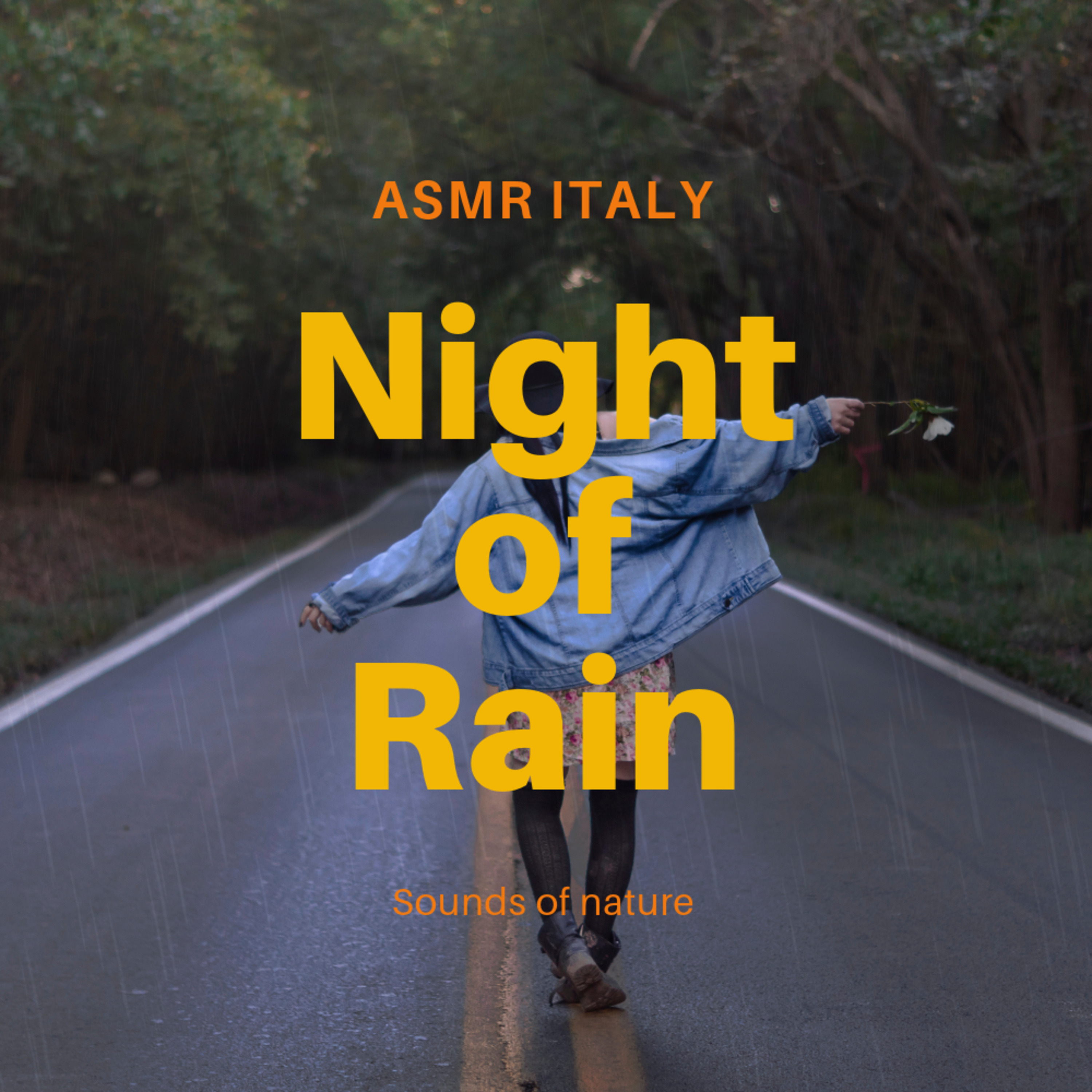 Night of Rain ASMR