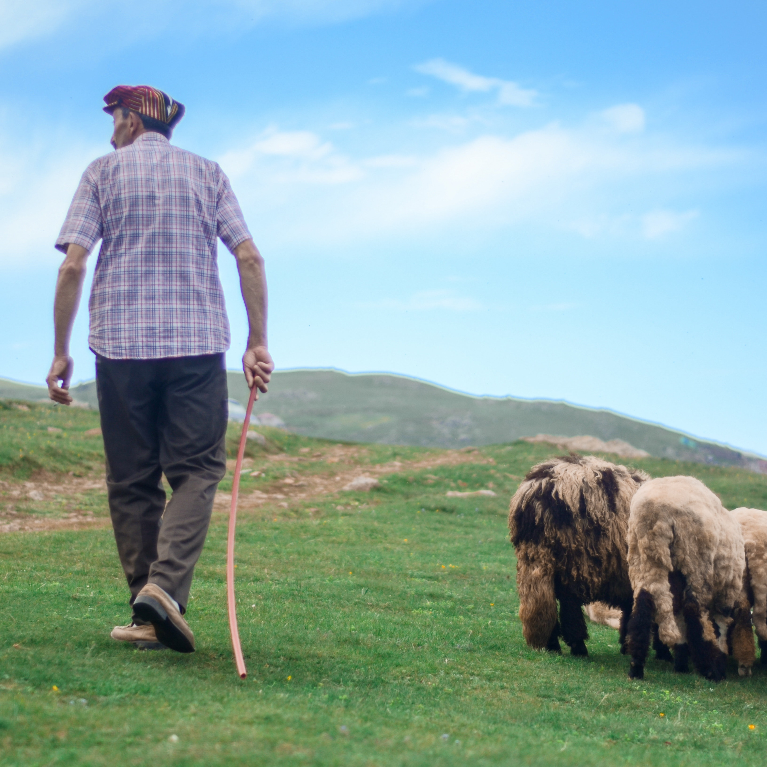 Bana Bir Masal Anlat