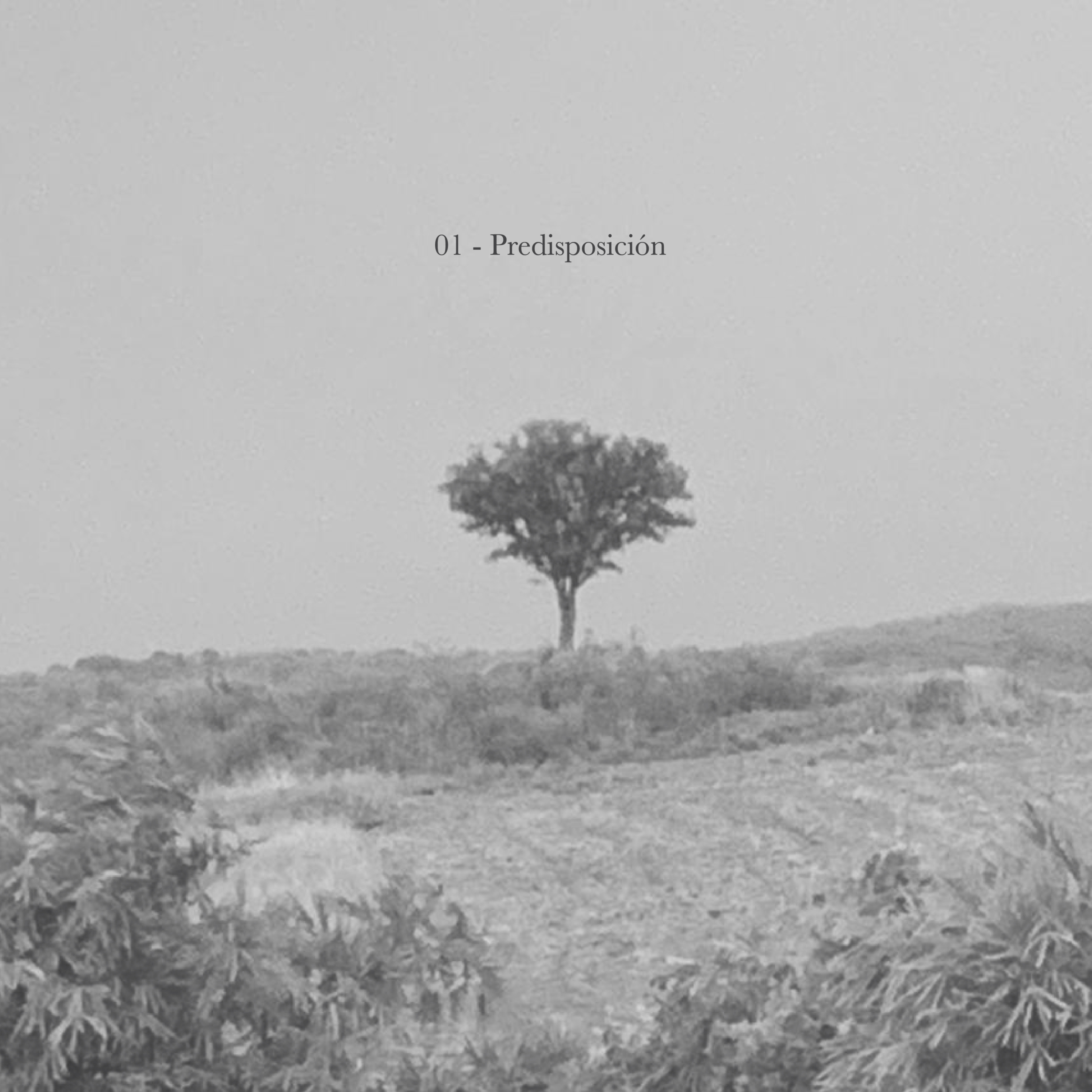 Cóncavo