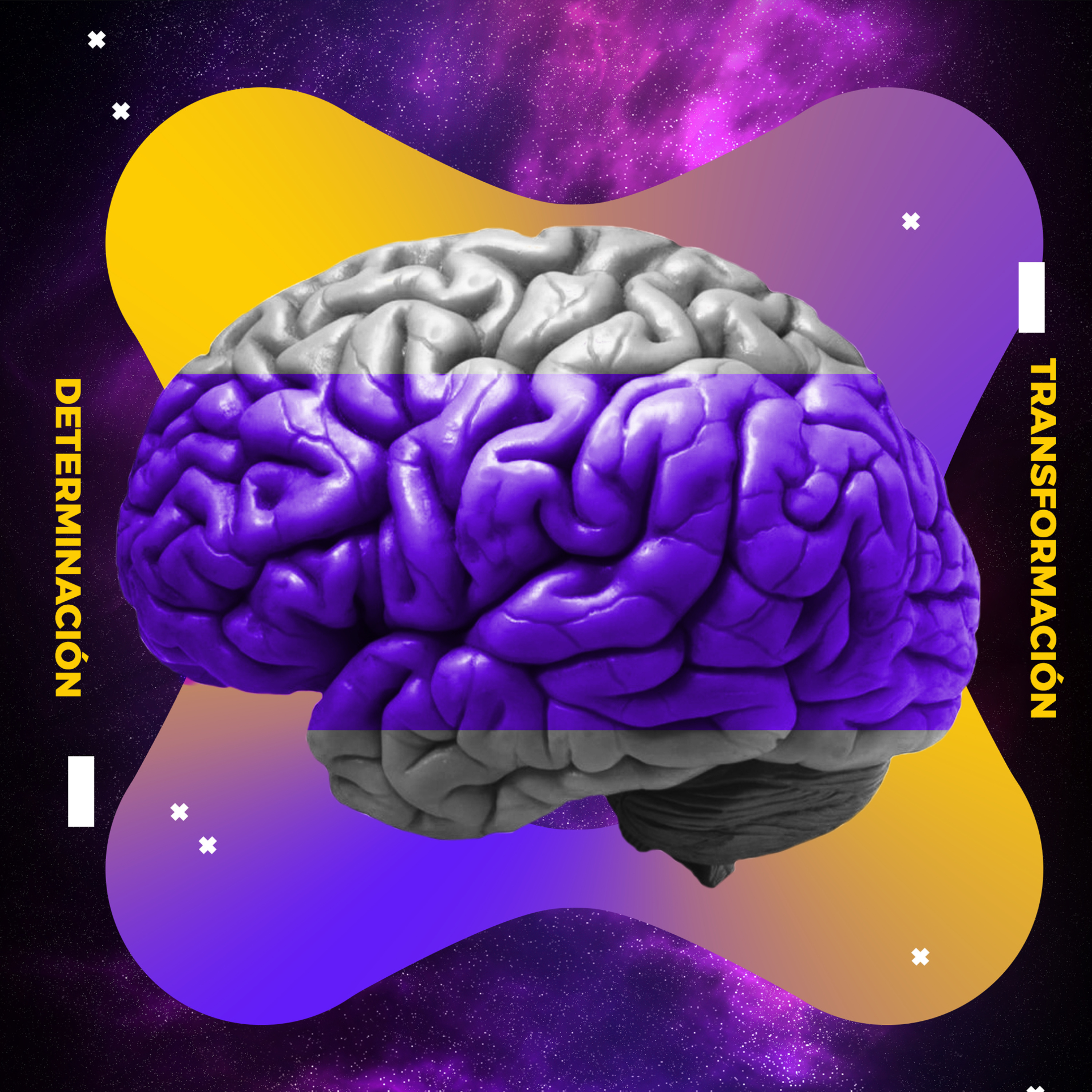 expandiendo consciencia
