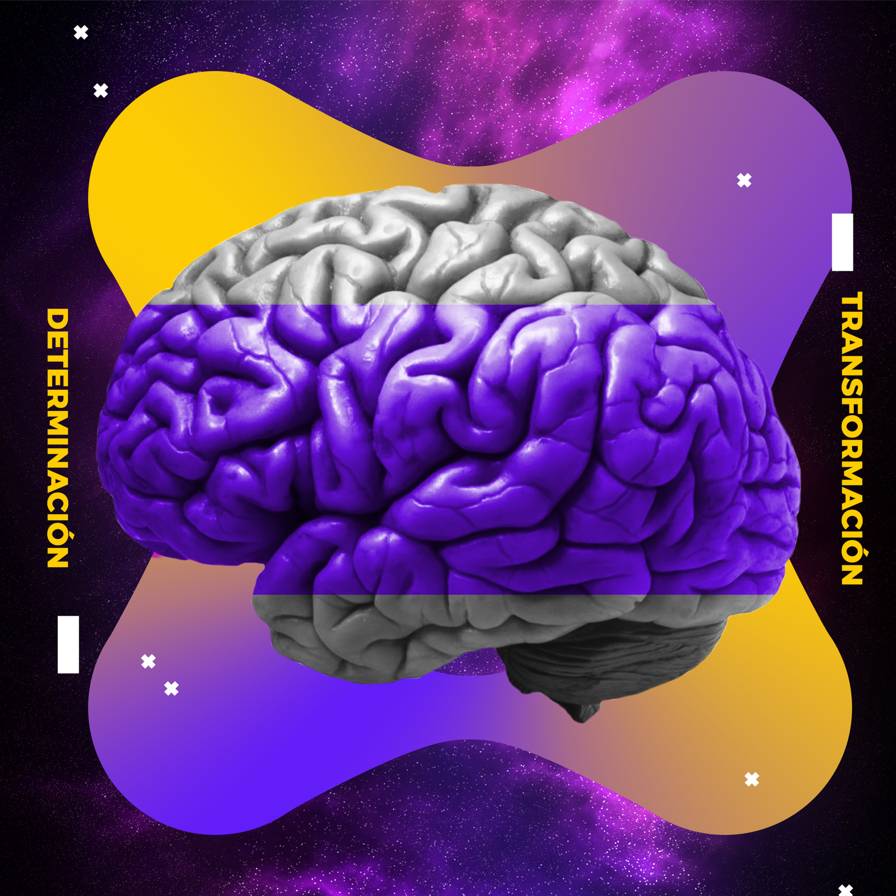 expandiendo consciencia