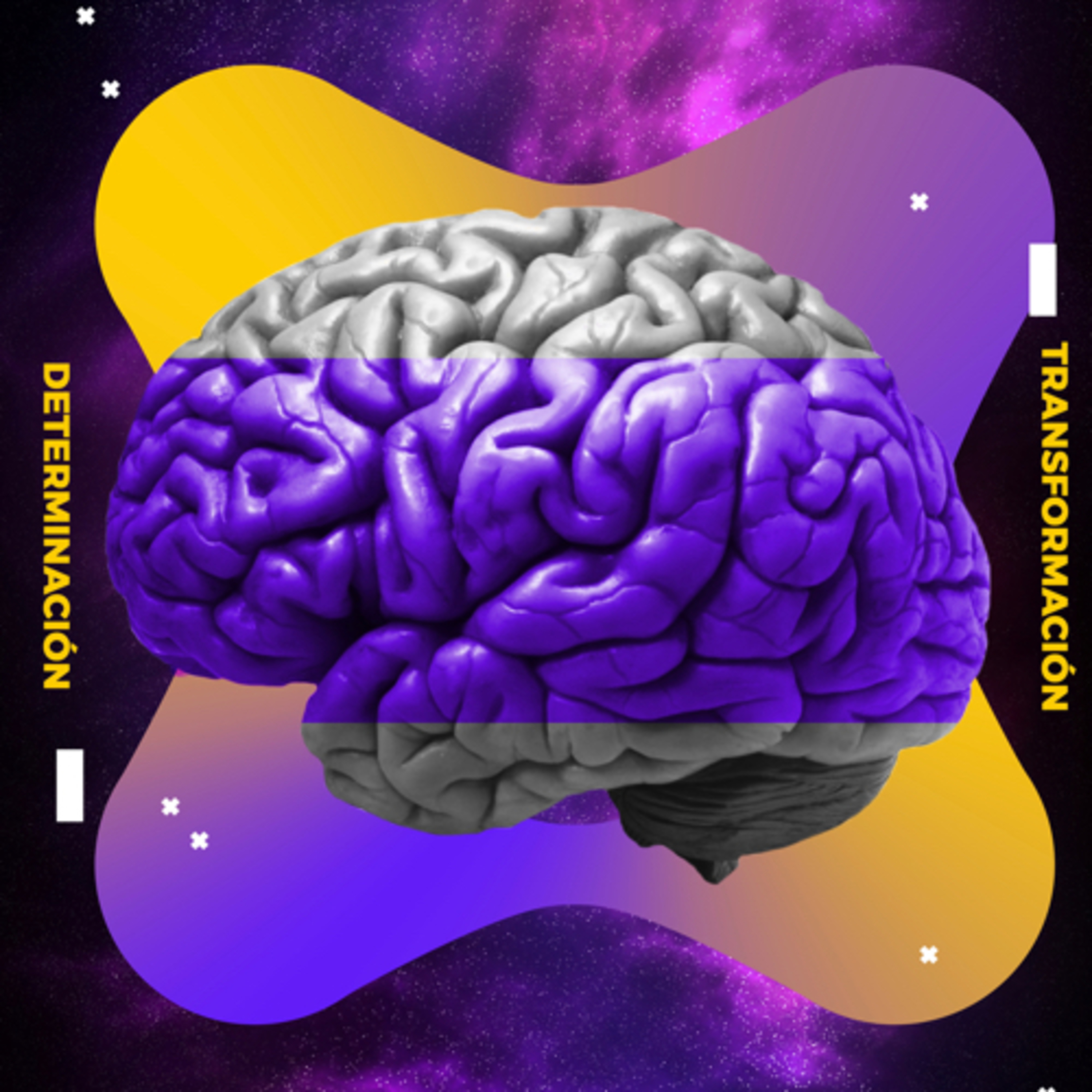 expandiendo consciencia