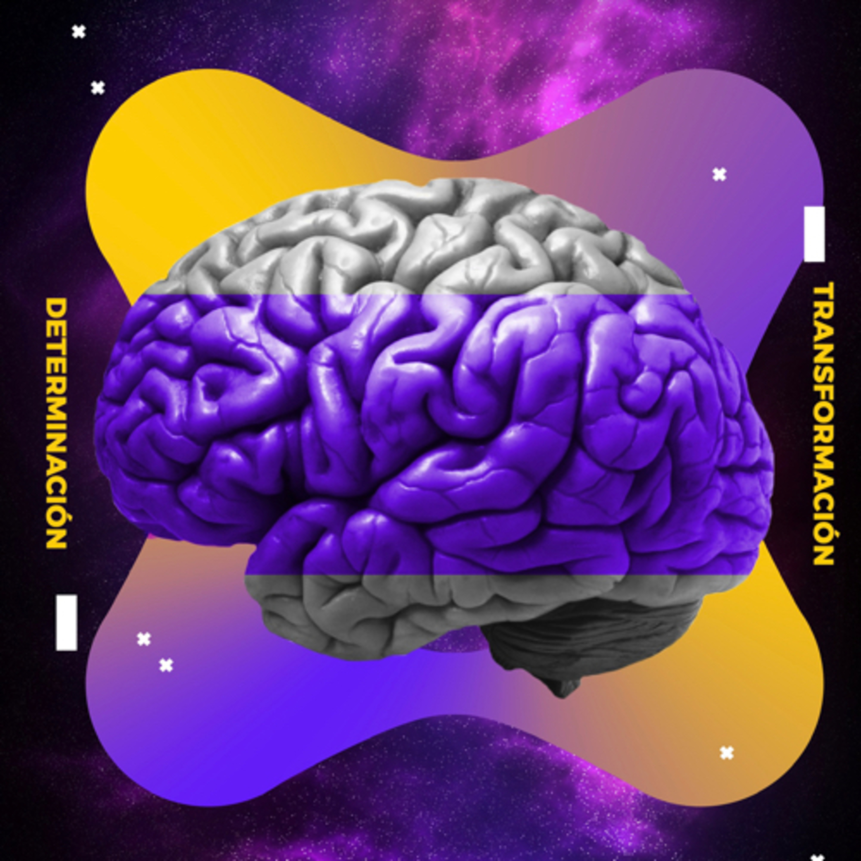 Transformación Psicodélica