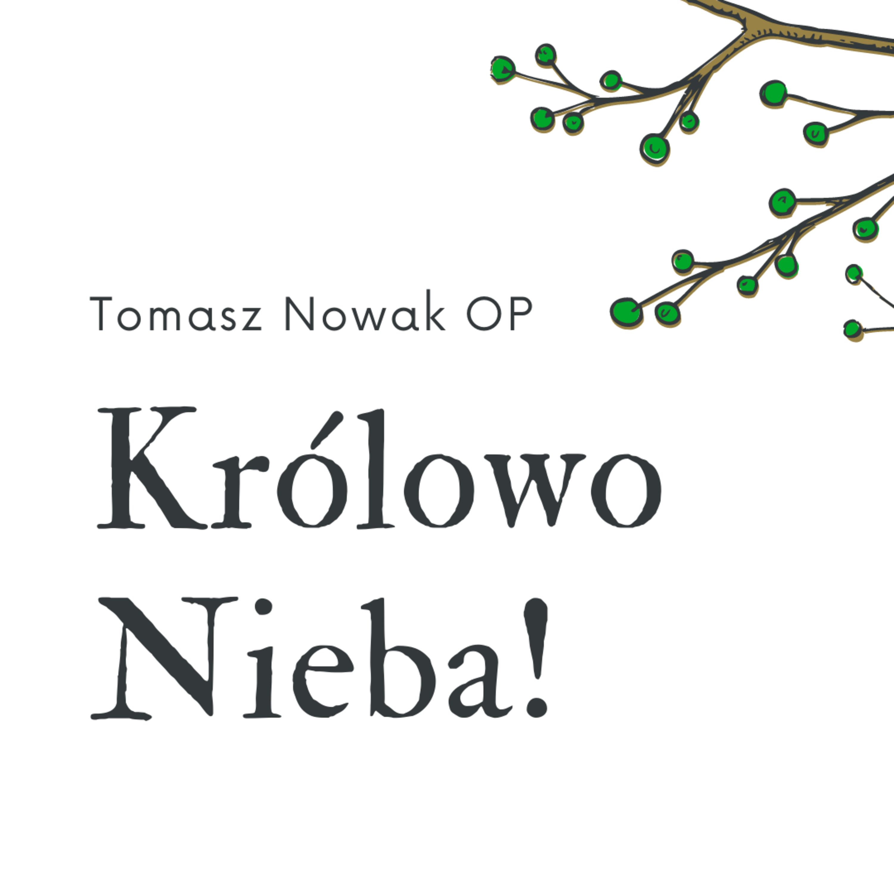 KRÓLOWO NIEBA // modlitwa 21.04.2021 episode artwork
