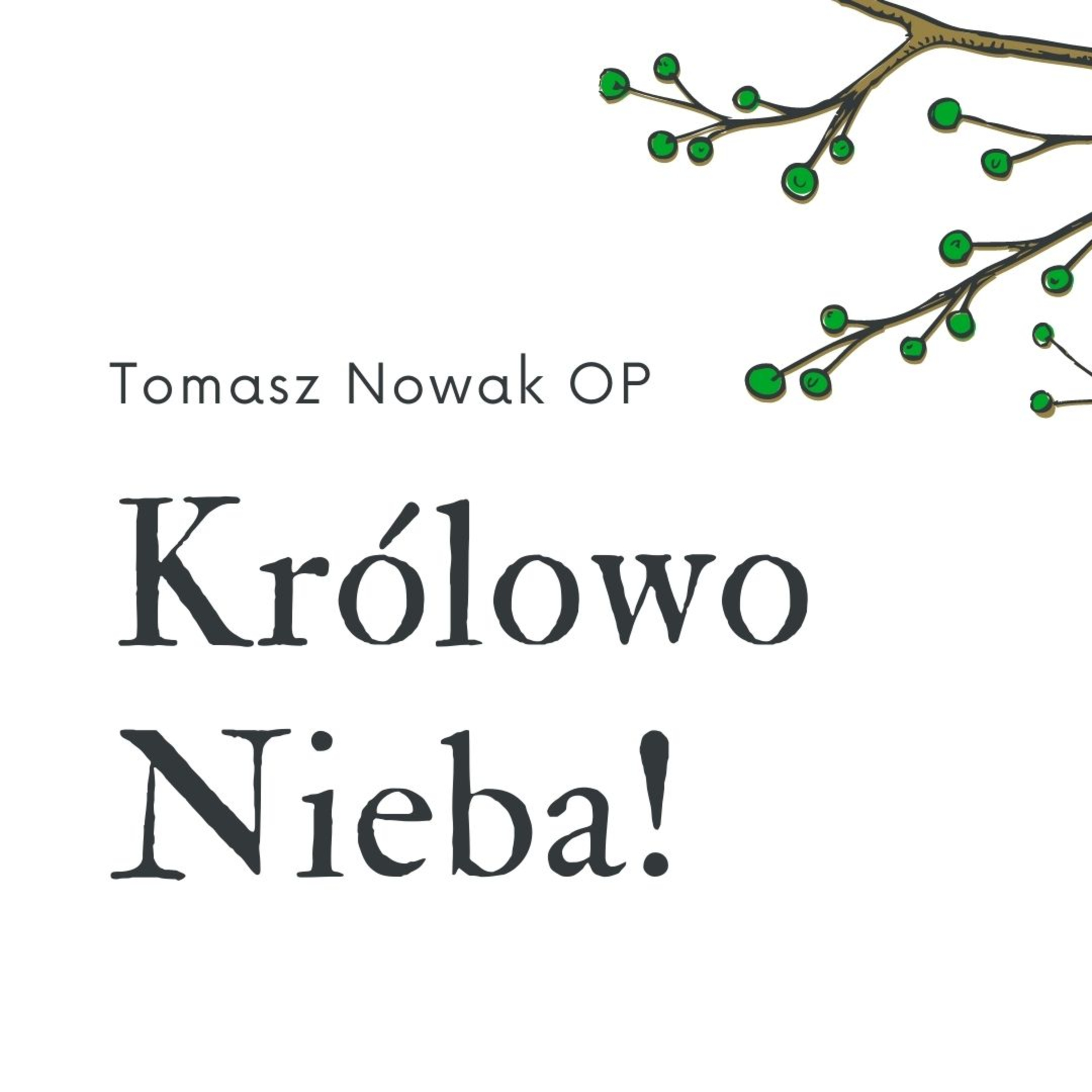 KRÓLOWO NIEBA // modlitwa 11.05.2021 episode artwork