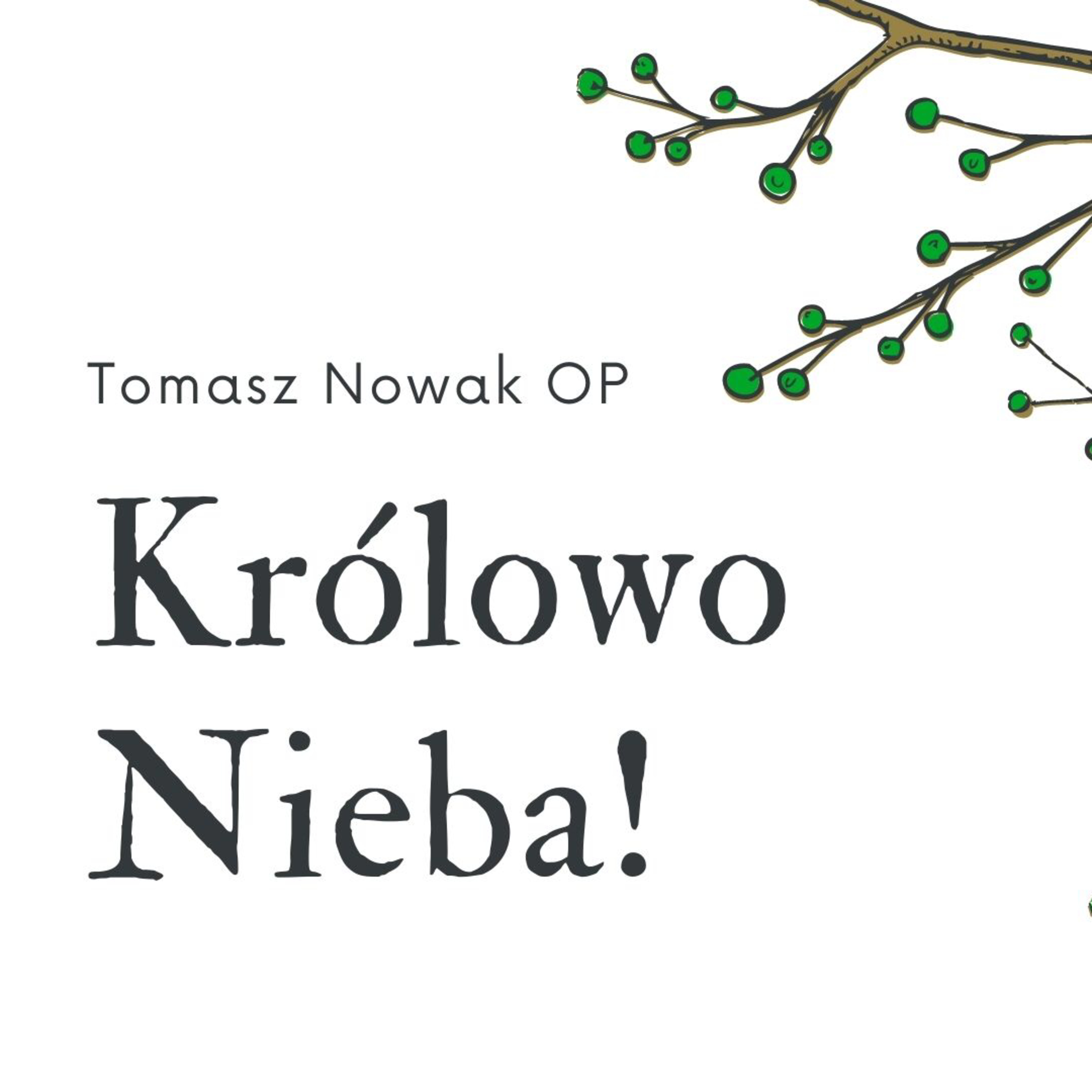 KRÓLOWO NIEBA // modlitwa 17.05.2021 episode artwork