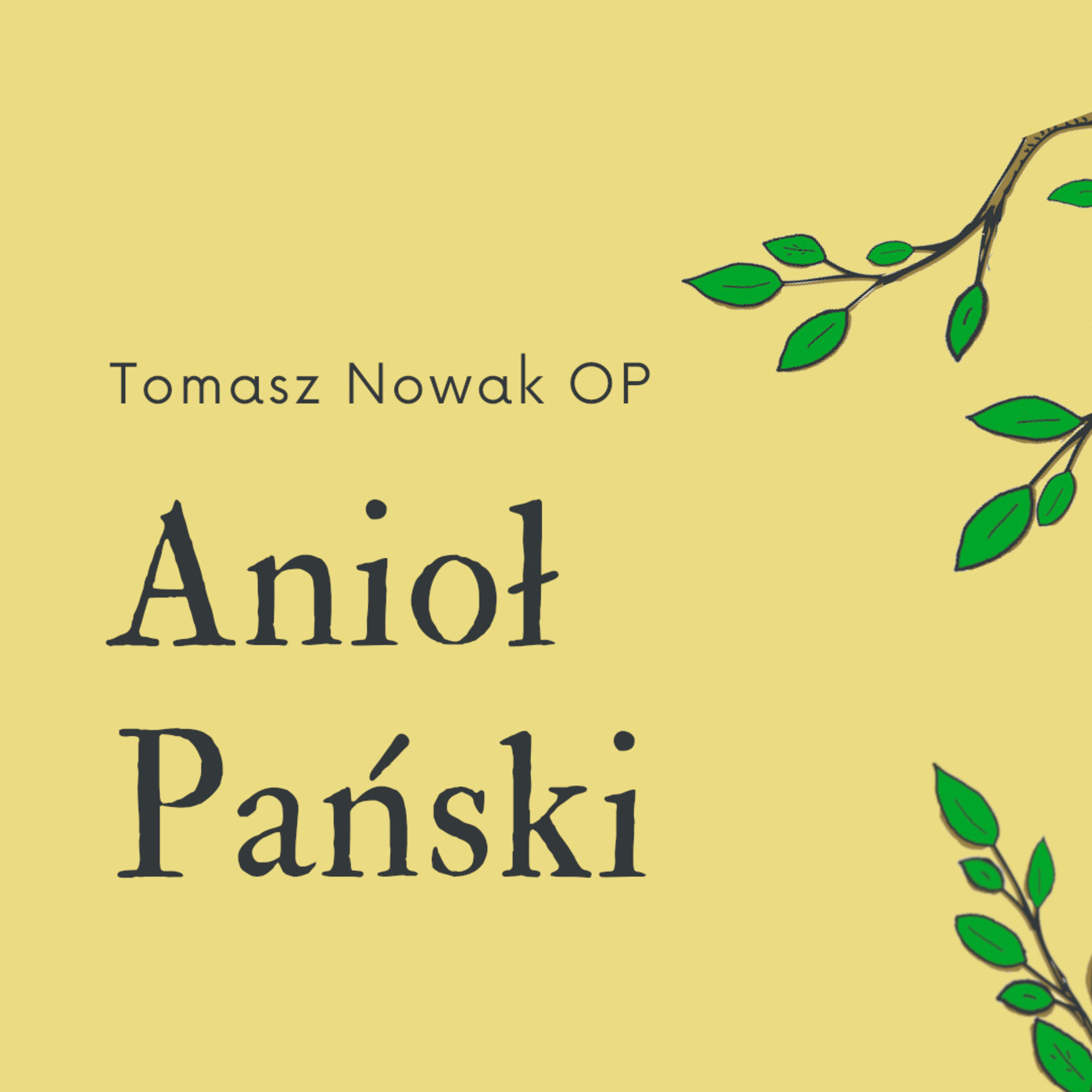Anioł Pański // modlitwa 09.06.2021 episode artwork