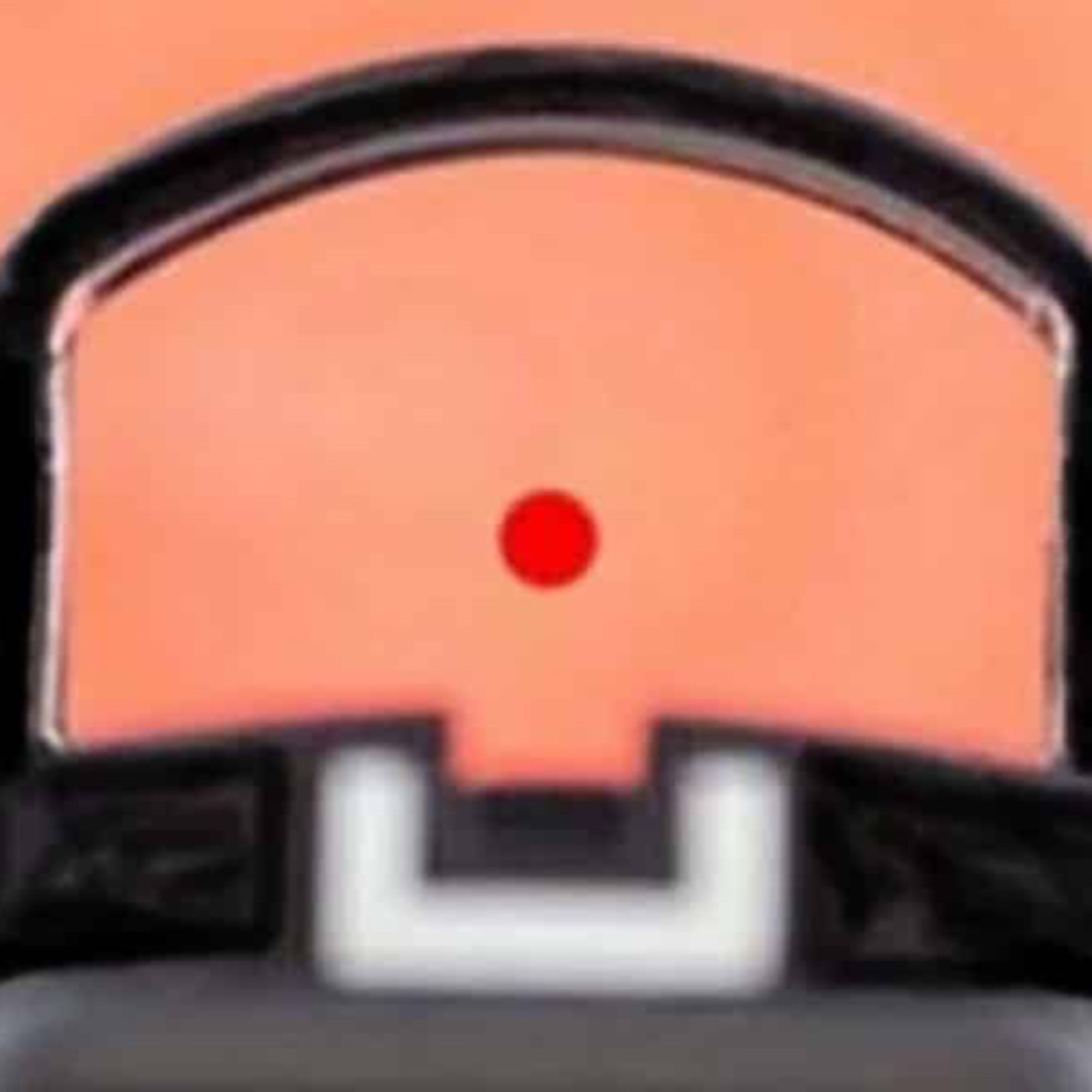 The Regular Dude Show