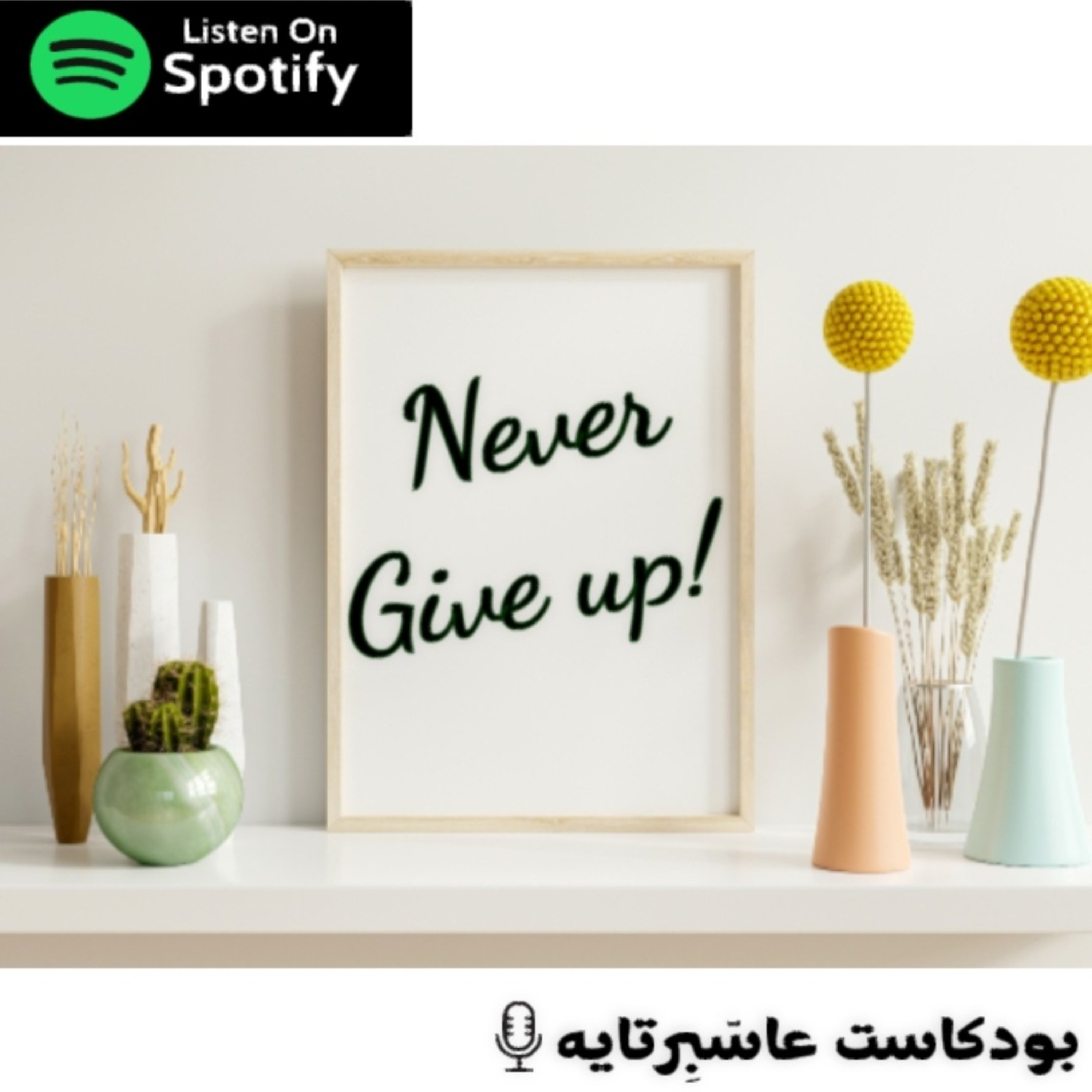 Try again and never give up! episode artwork