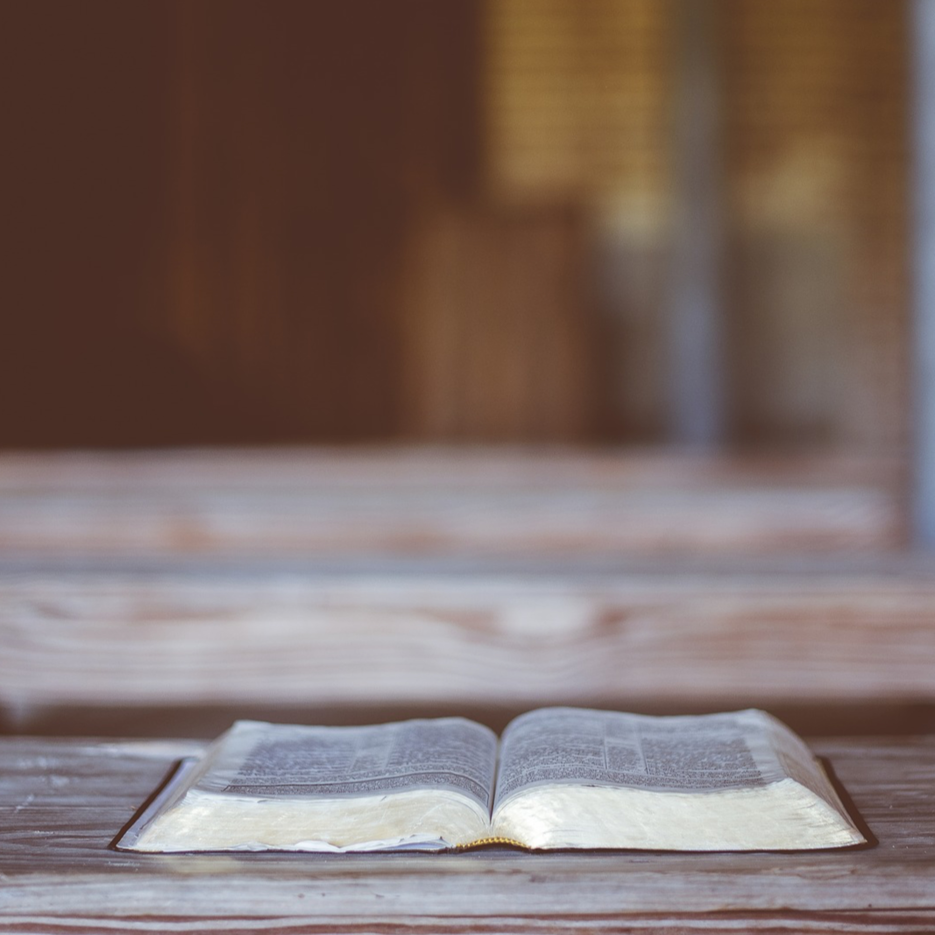 7. Úvod do Bible: Žaltář