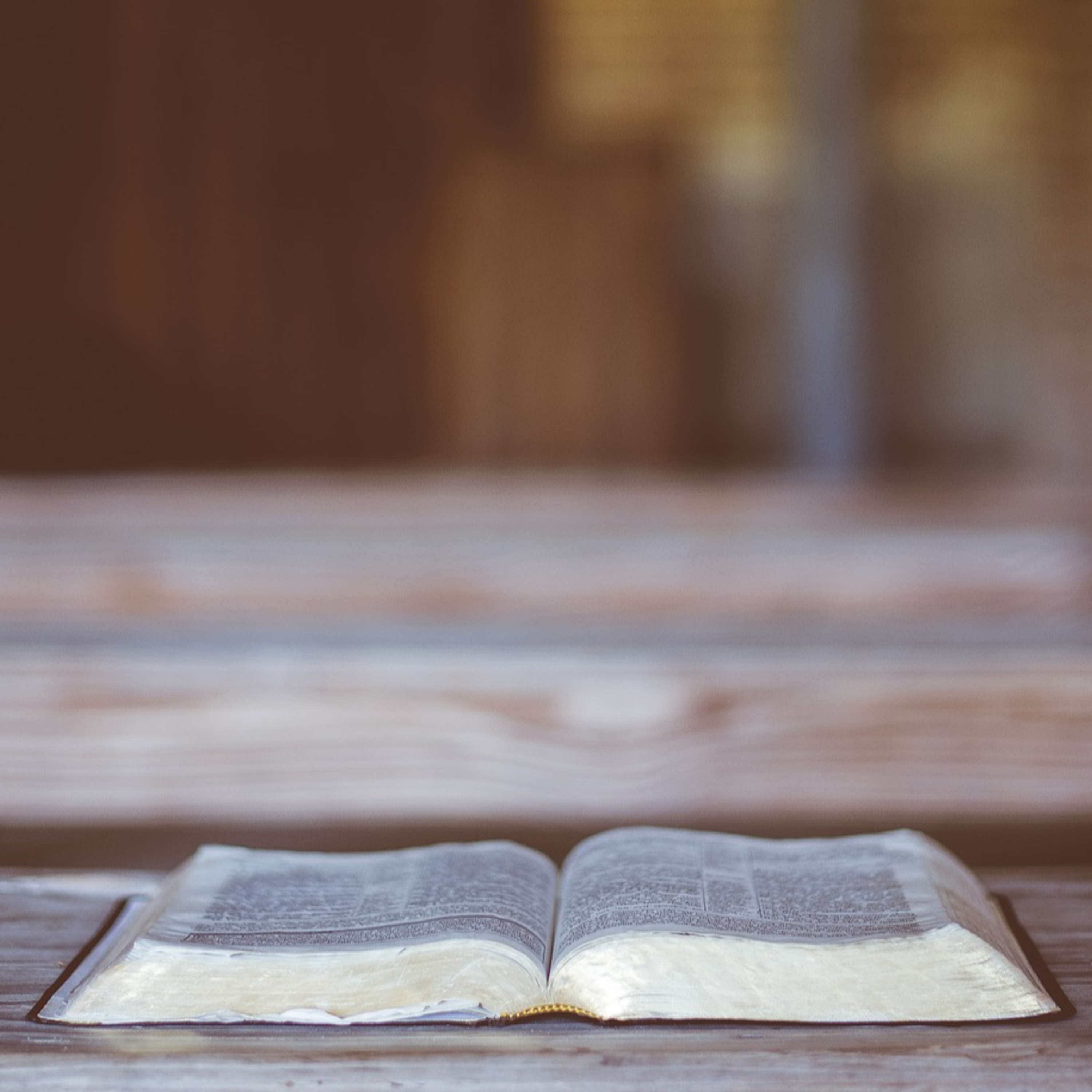 10. Úvod do Bible: Evangelia episode artwork