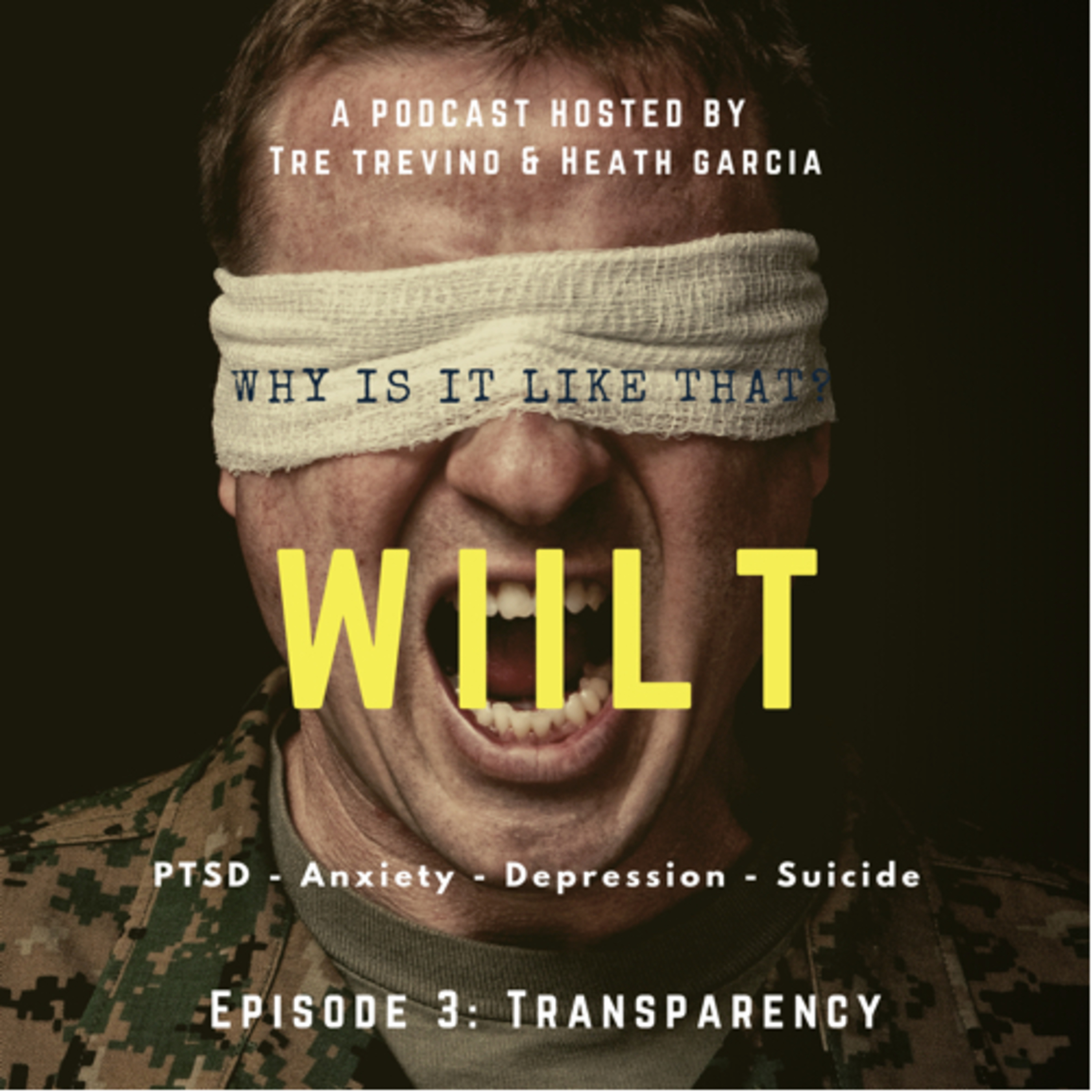 Why is it like that: stories of PTSD, anxiety, depression and suicide