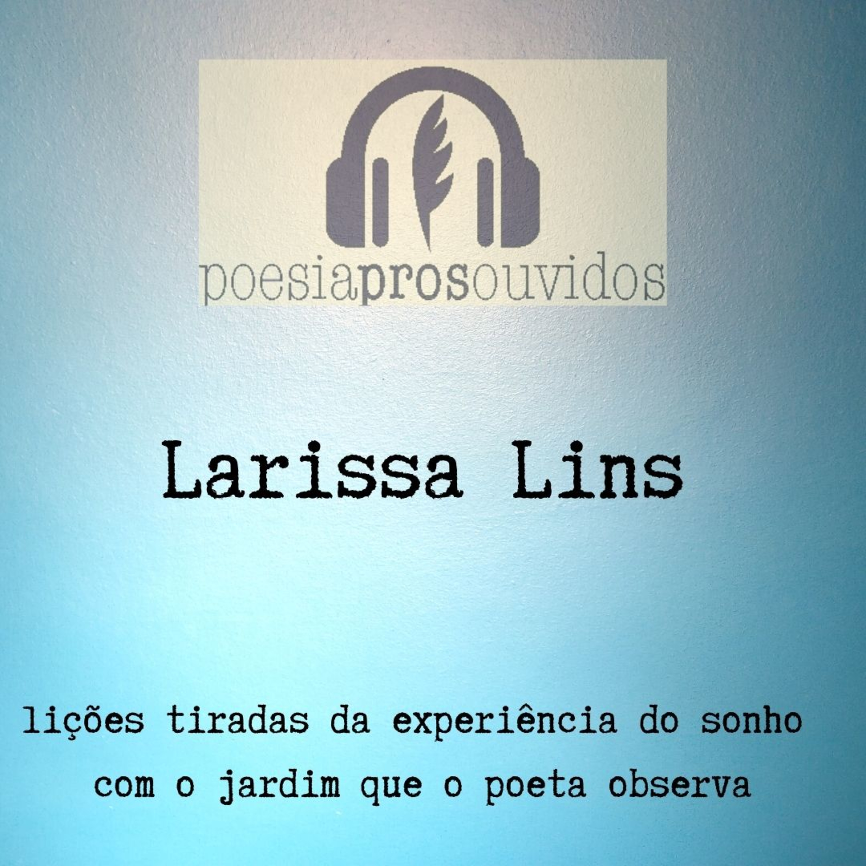 Larissa Lins - lições tiradas da experiência do sonho com o jardim que o poeta observa