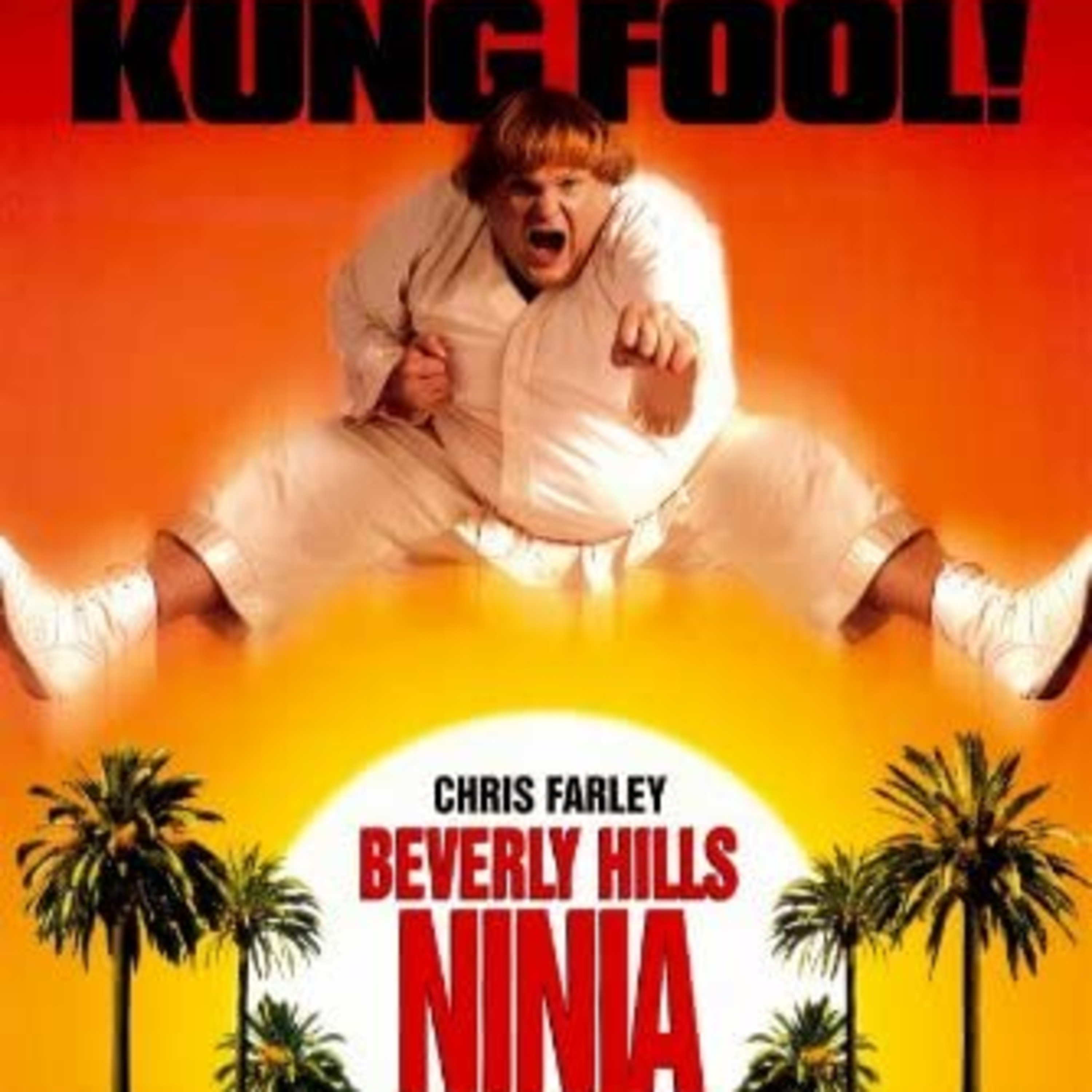 Is It Really That Bad? Beverly Hills Ninja (1997) / Sidekicks (1992) episode artwork