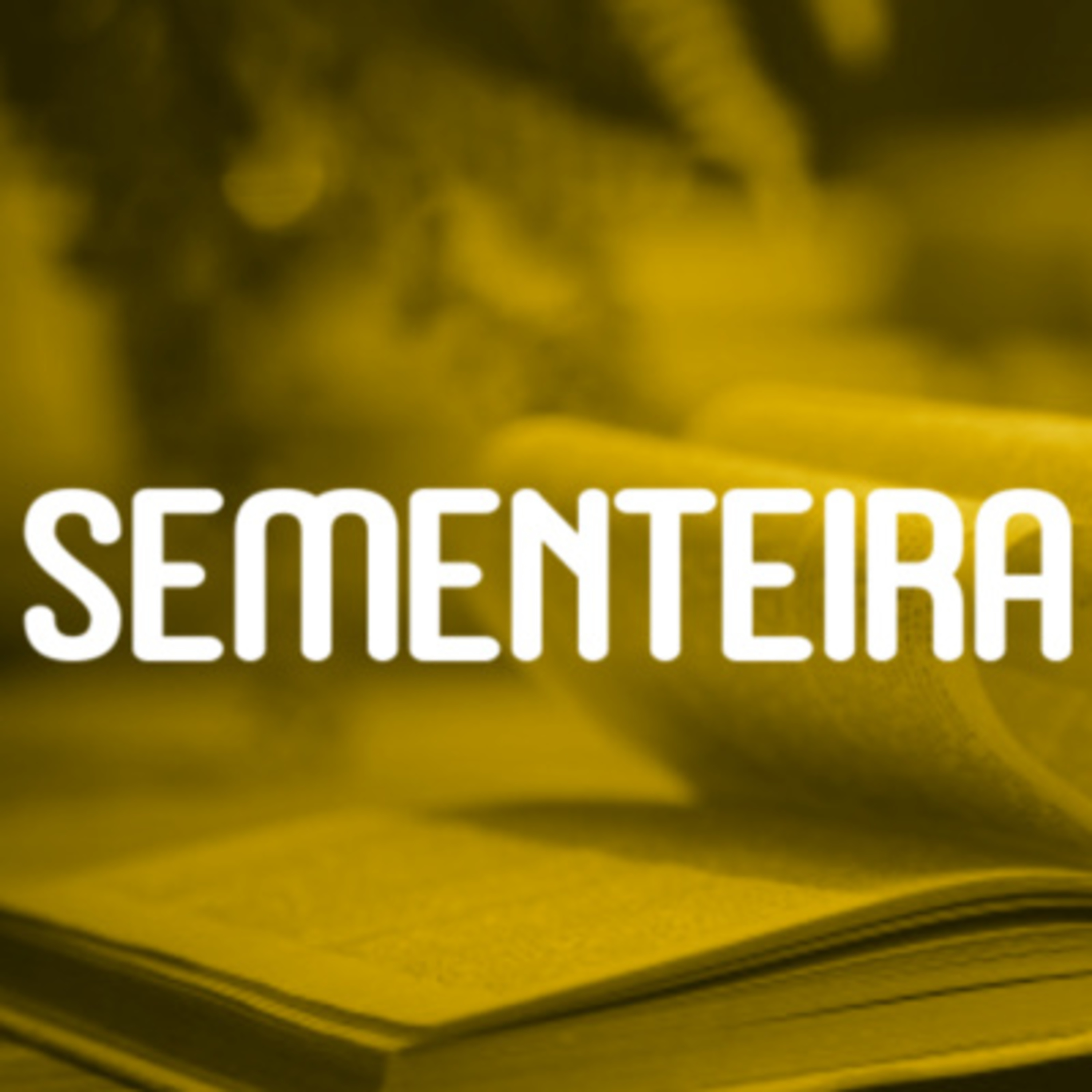 SEMENTEIRA CRISTA - 8 de NOVEMBRO 2020