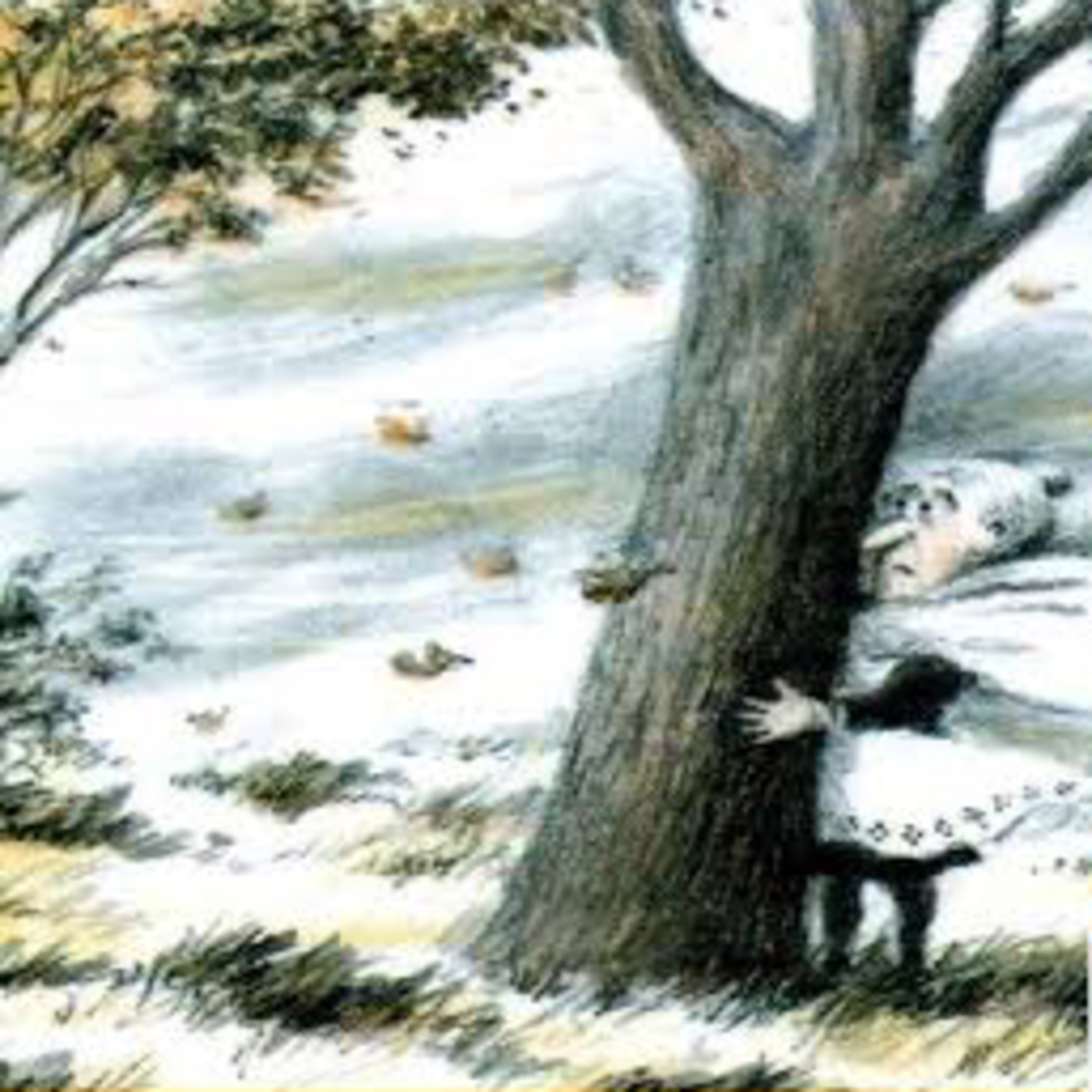 Cuentos e Historias Infantiles