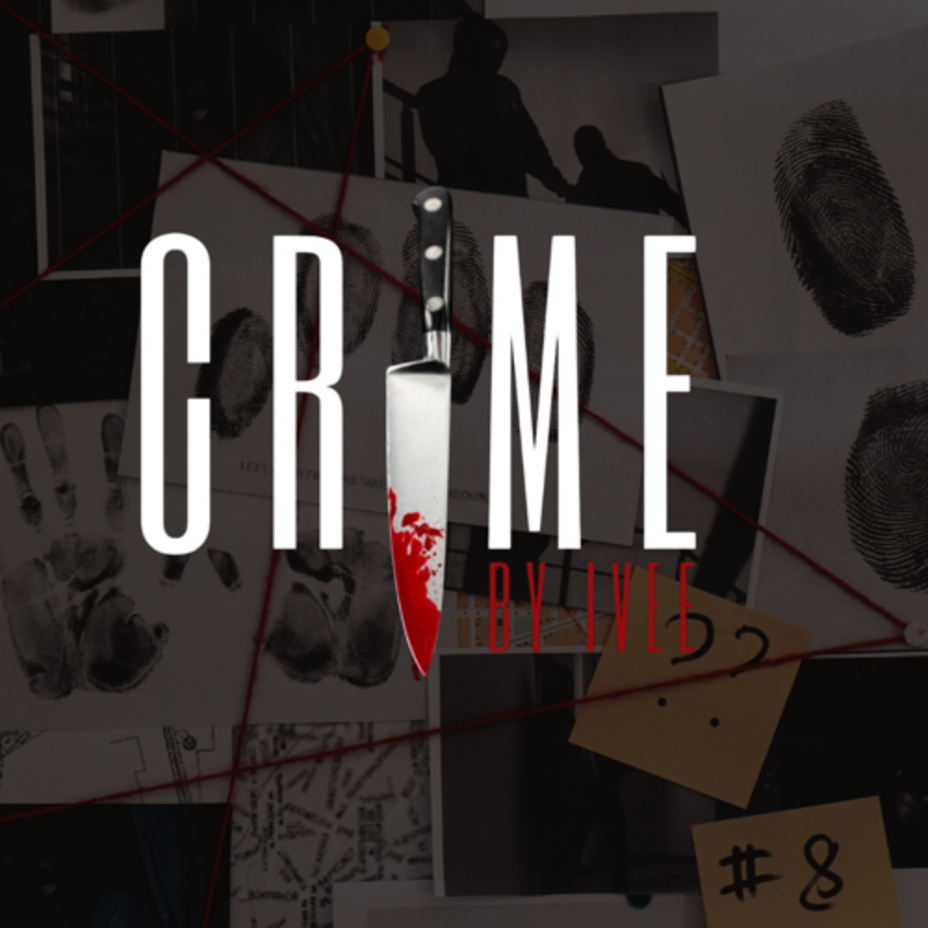 Petr Hrubý - Může za jeho smrt policie? episode artwork