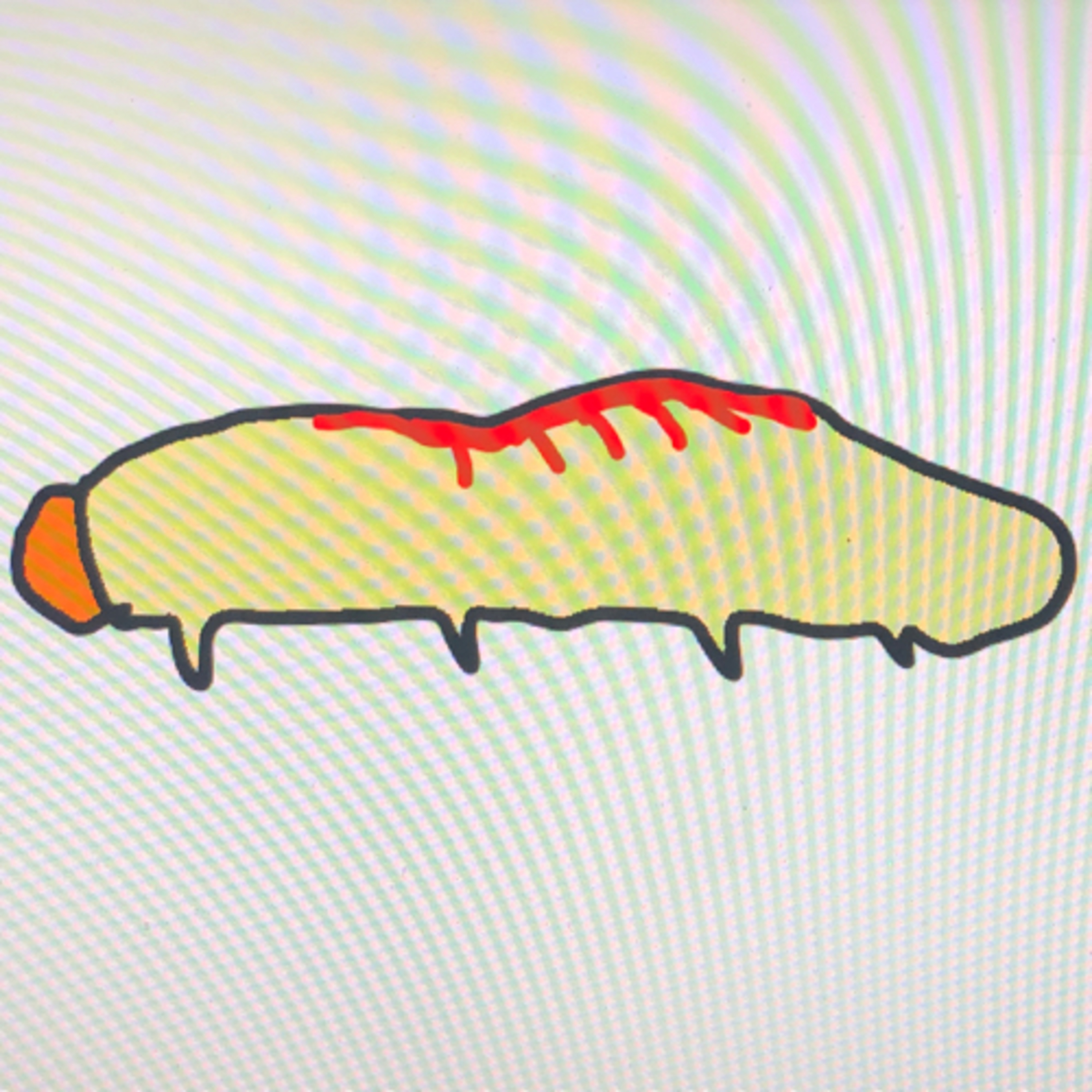 WORM BURN