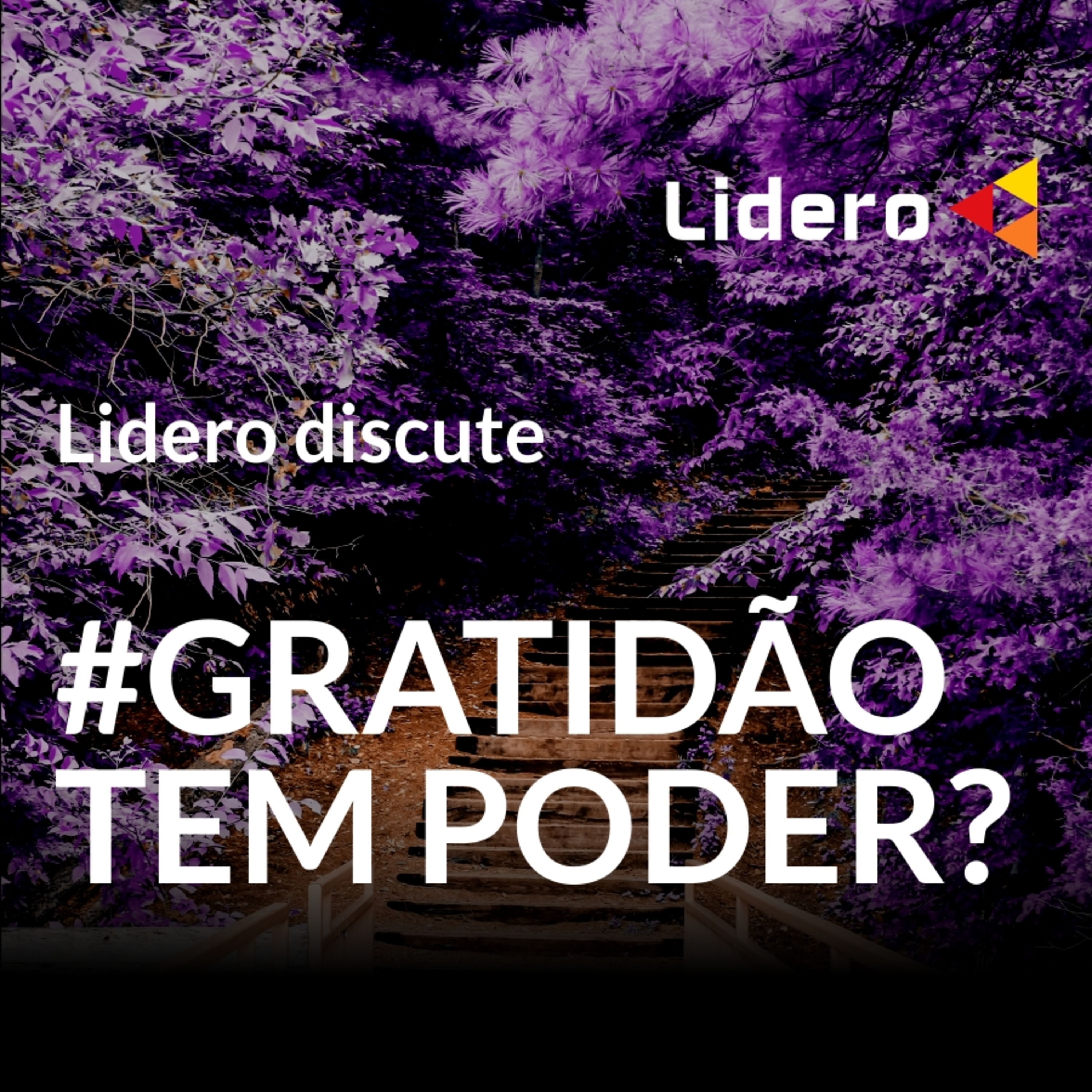 #GRATIDÃO TEM PODER? — Lidero Podcast #002